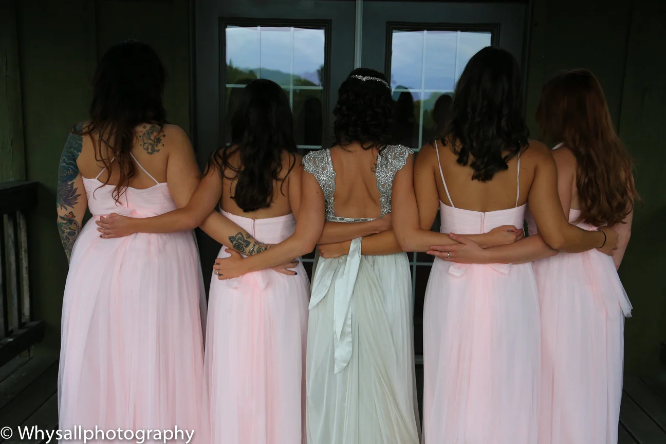 Bluemont Vineyards Wedding