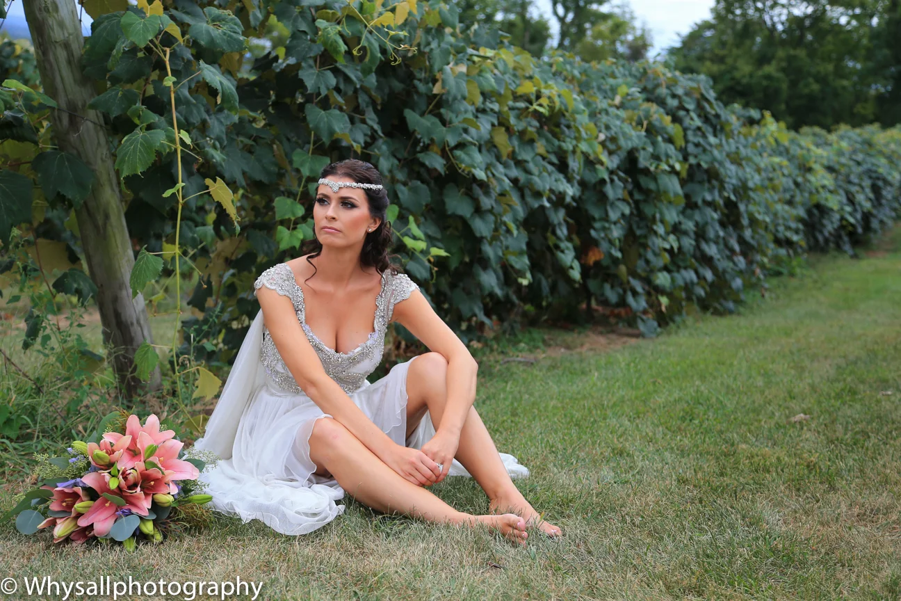 Bluemont Vineyards Wedding