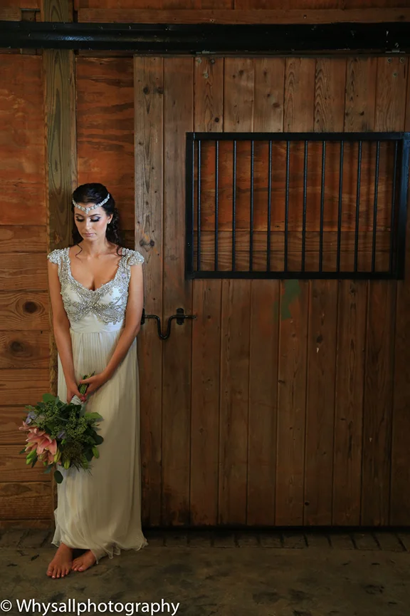 Bluemont Vineyards Wedding