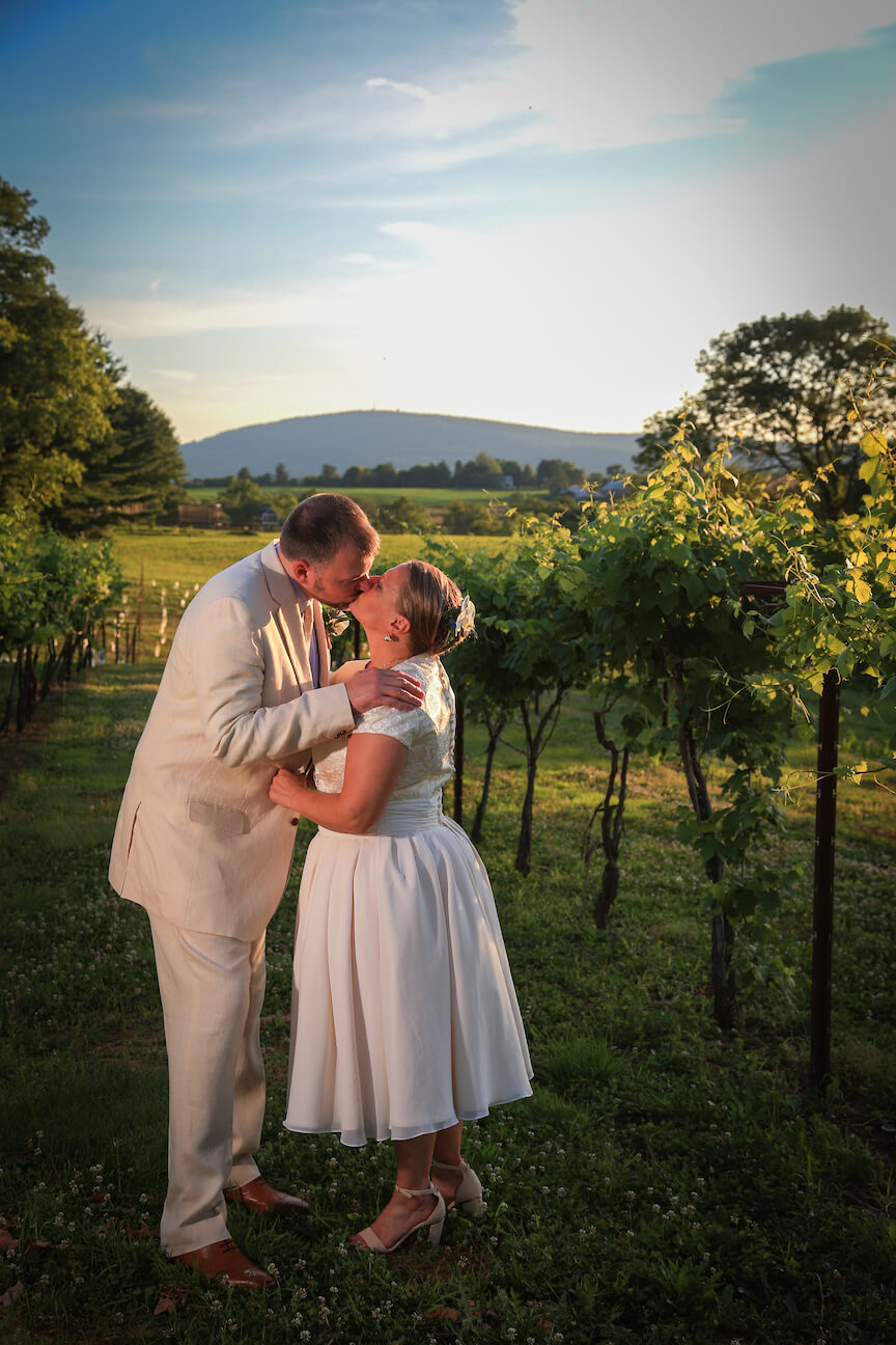 orchid-cellar-winery-wedding9.jpg