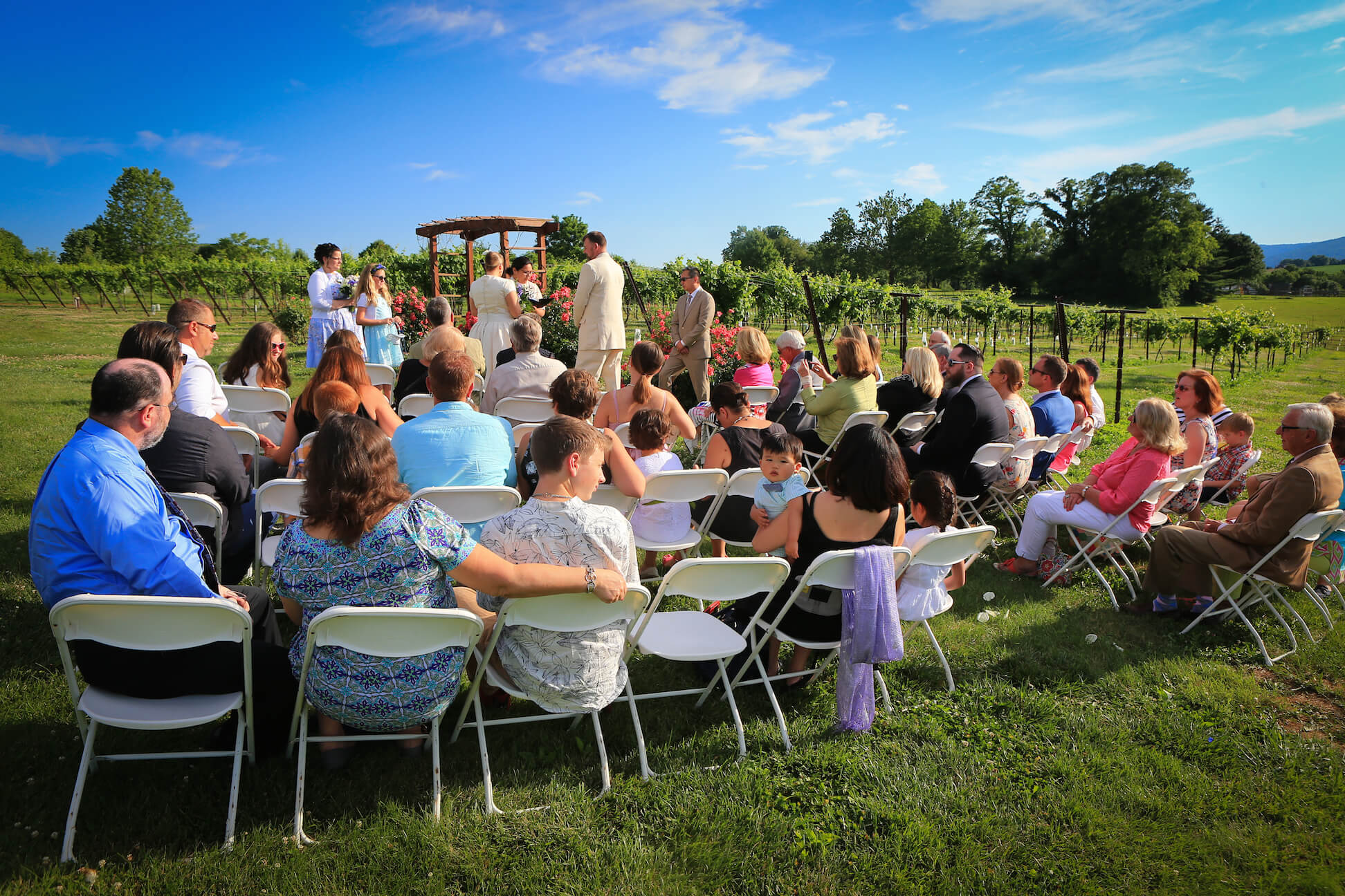 orchid-cellar-winery-wedding31.jpg