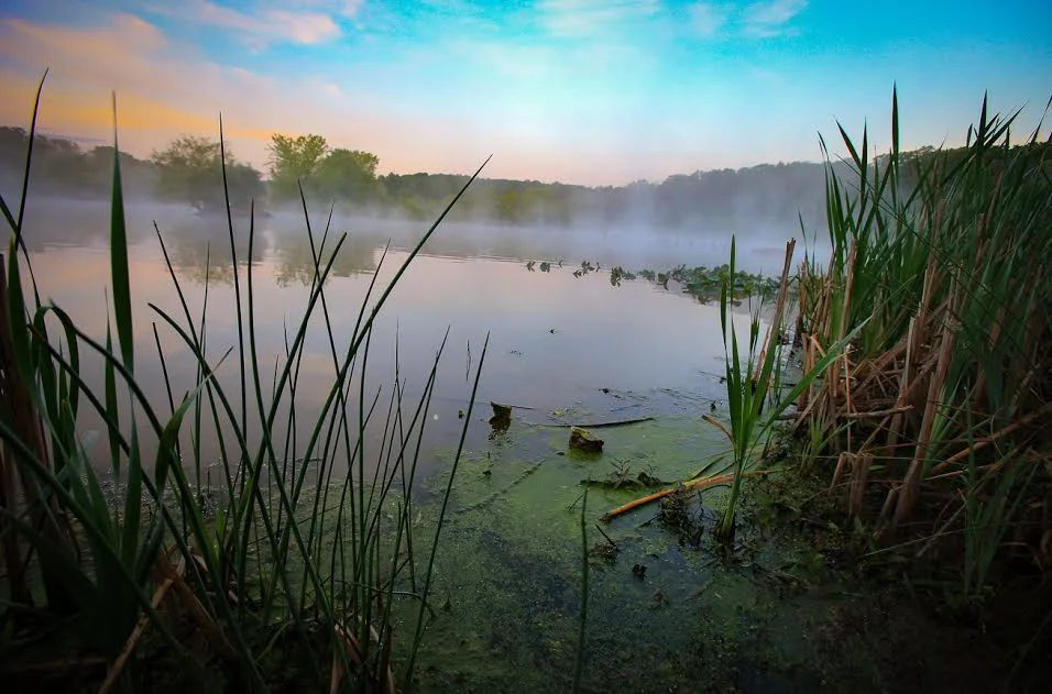 Editorial Photo for Audubon Mgazine