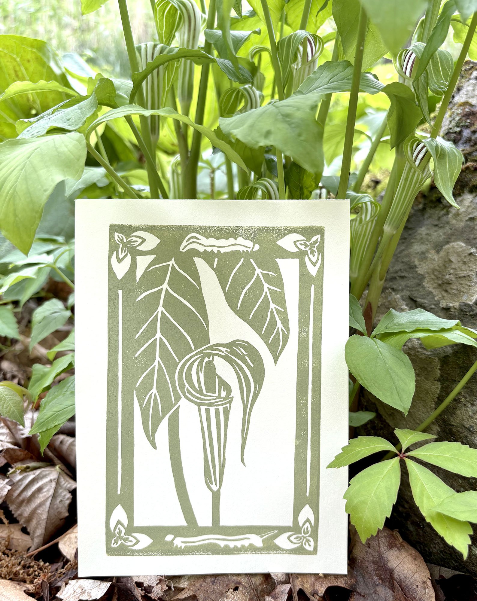 A photo of a green linocut print with Jack-in-the-Pulpit flowers