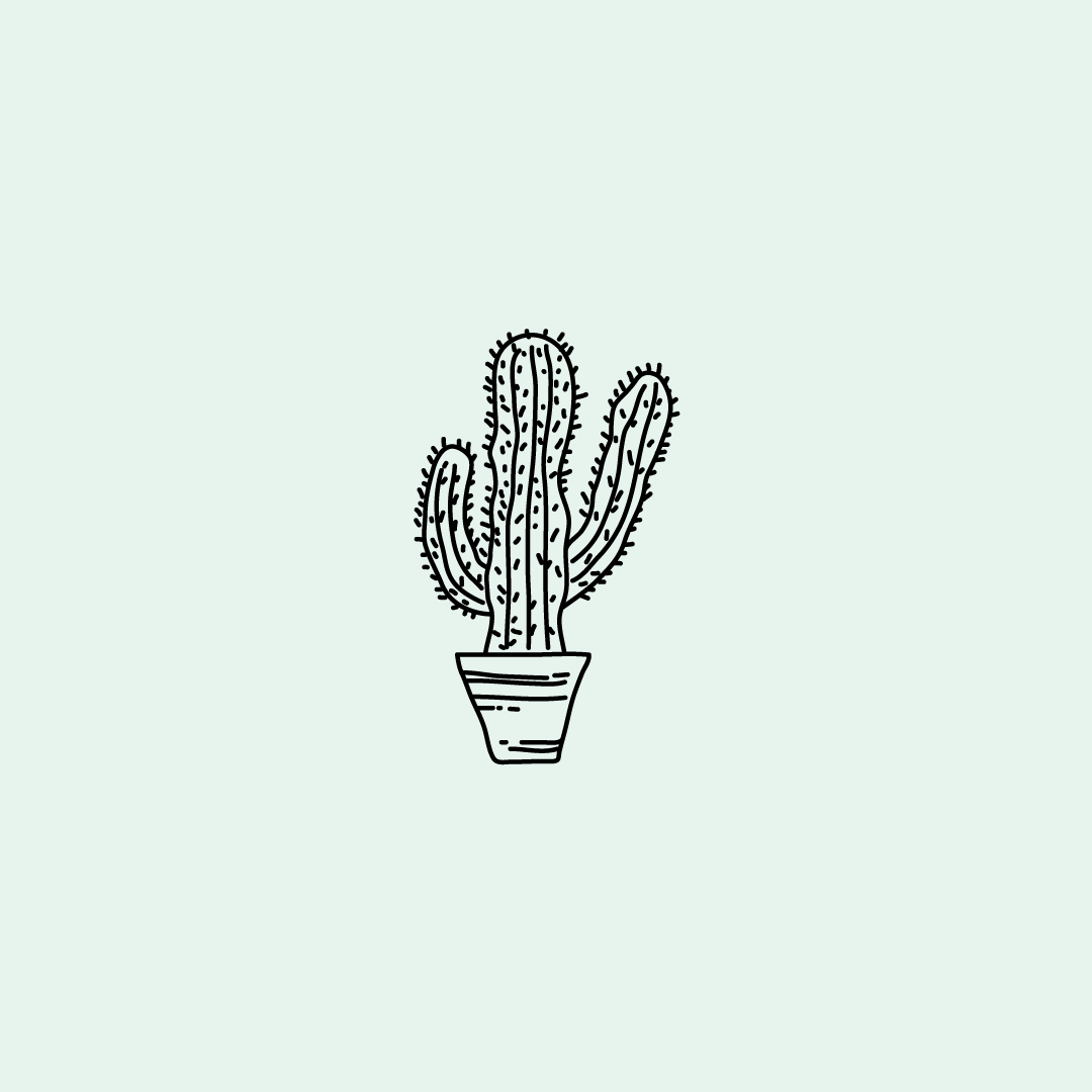 Cactus.png
