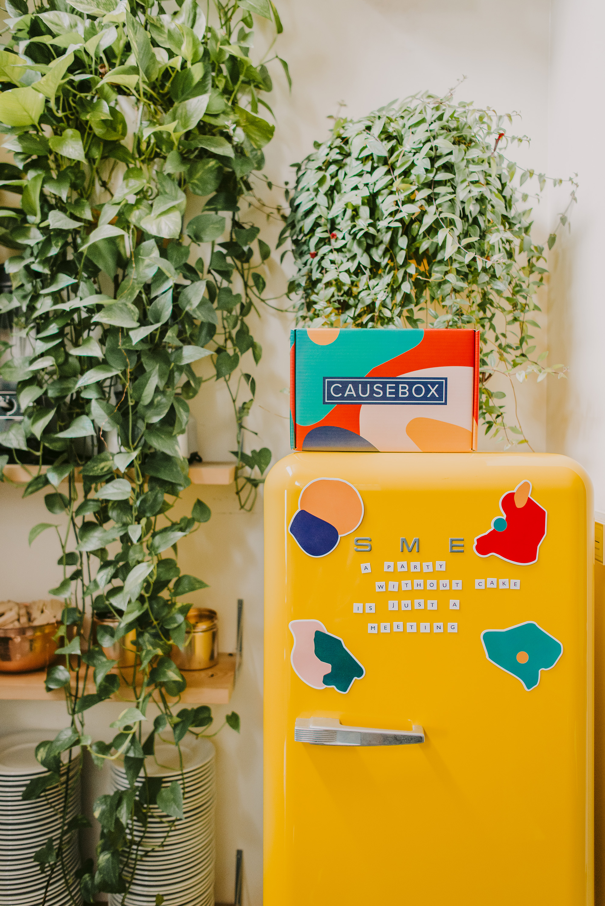 Magnets-fridge-2.jpg