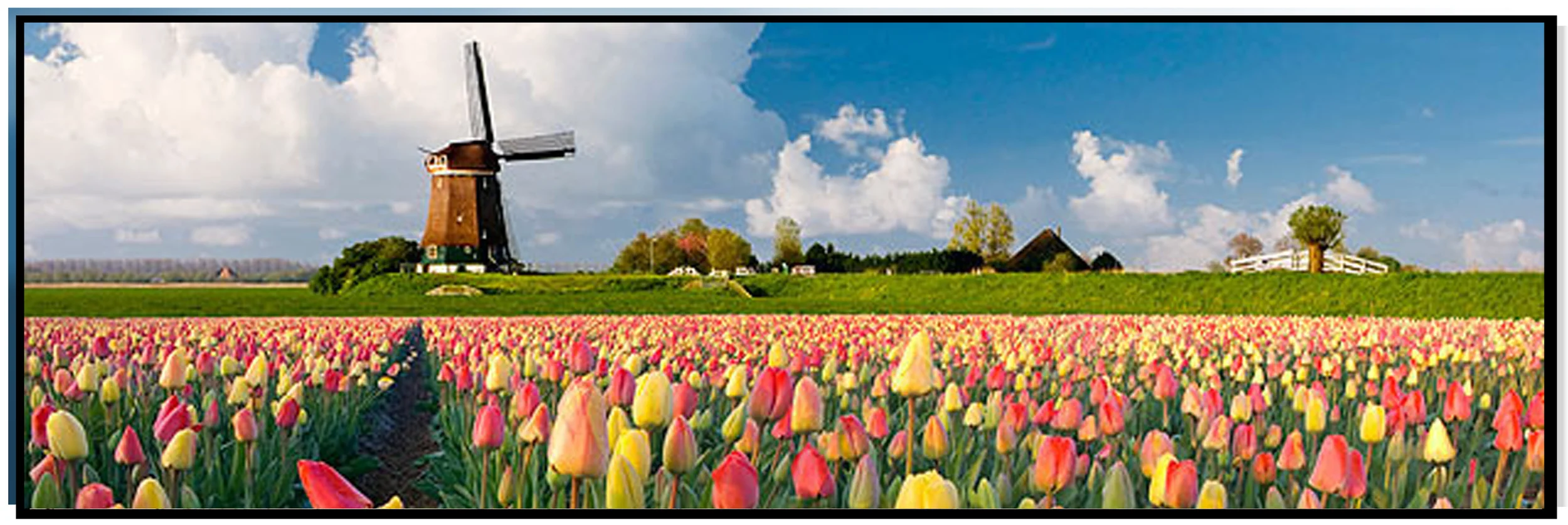 Holland.jpg