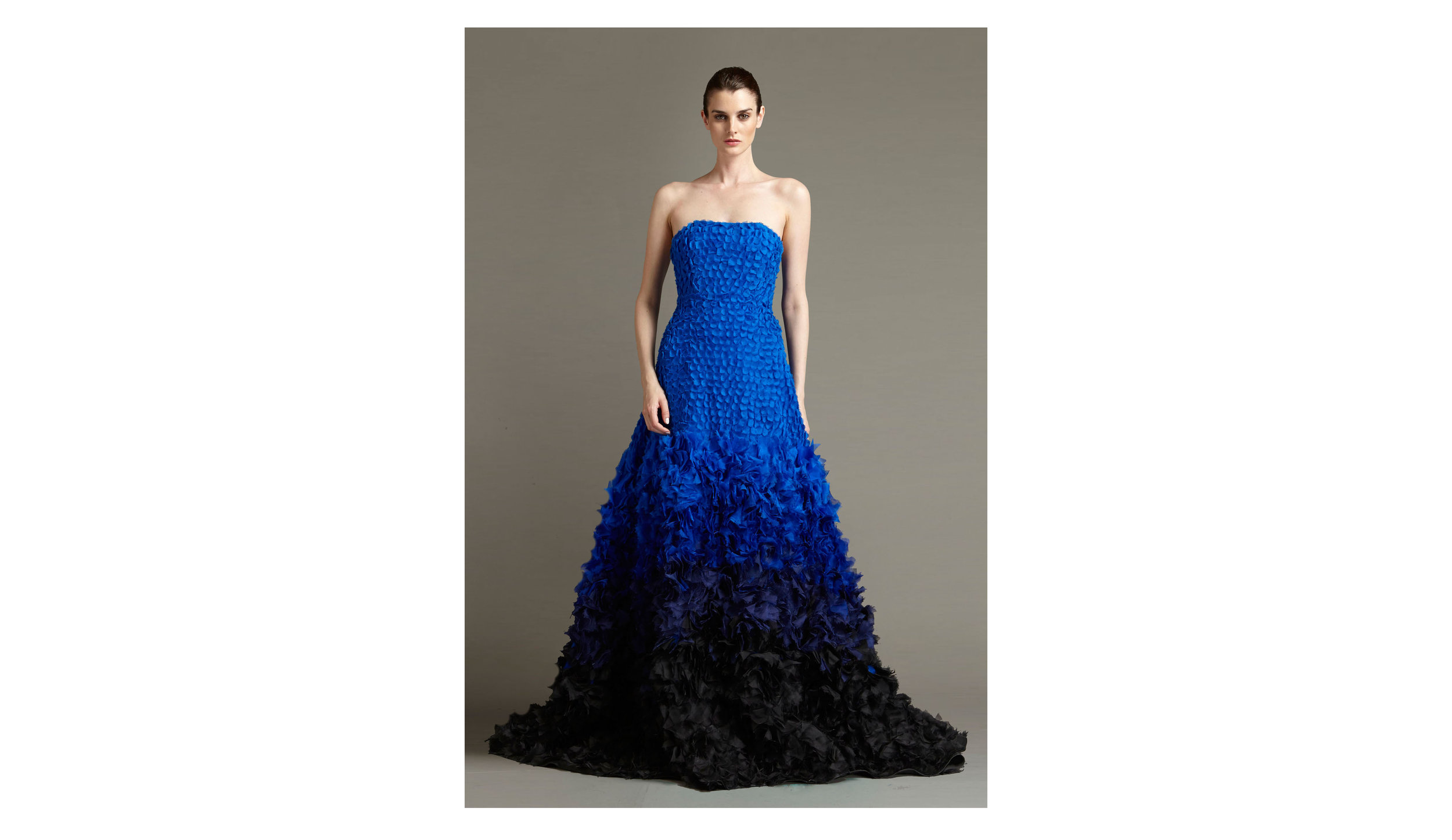 blue gown.jpg