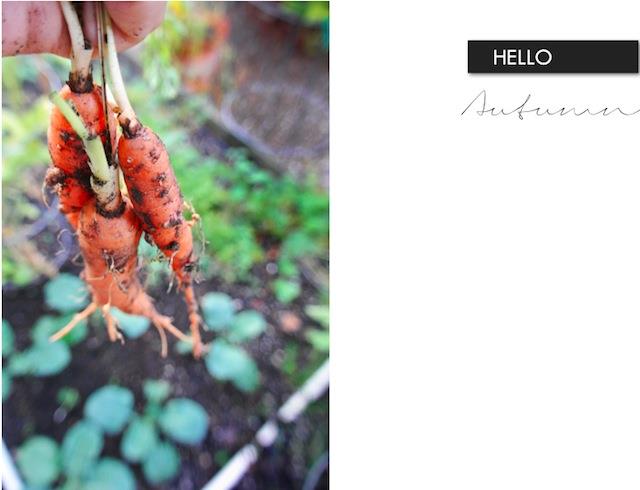 Hello_autumn .jpg