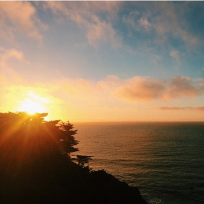 Instagram via. Birdie Shoots