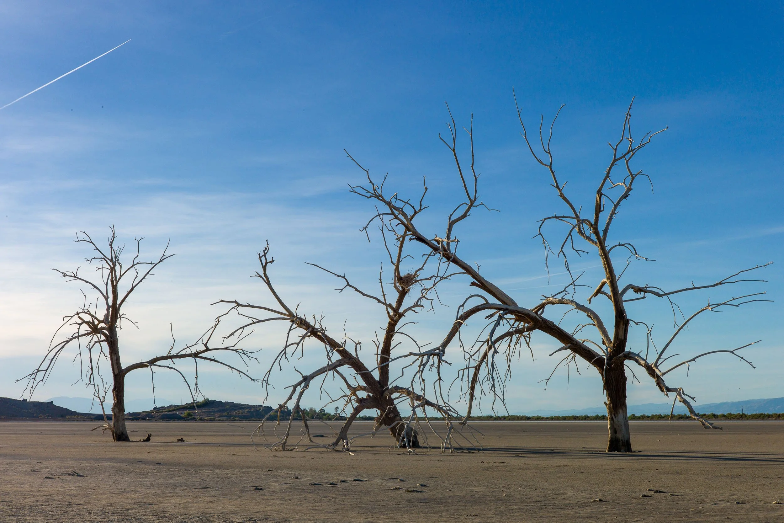 salton-sea-9.jpg