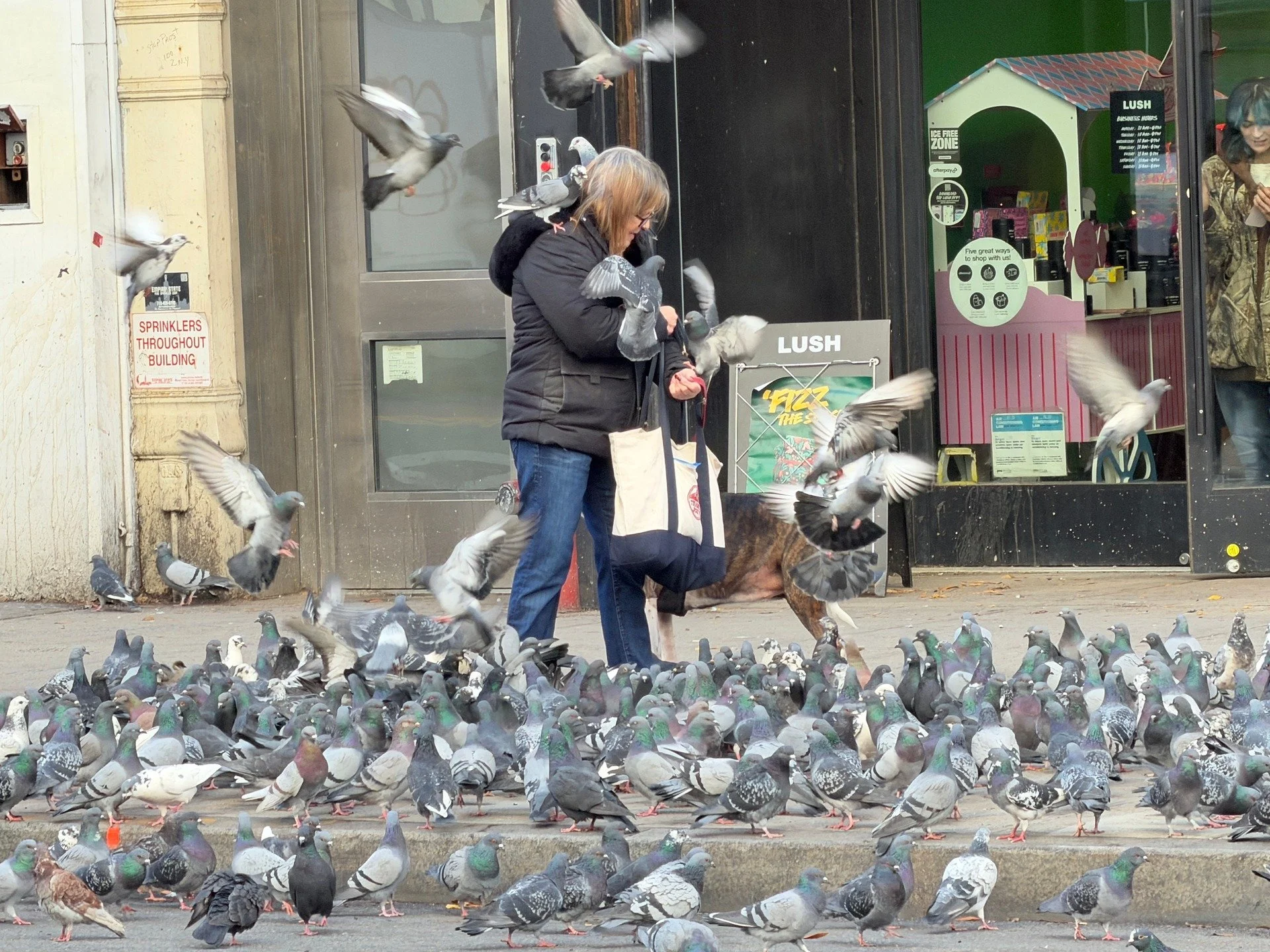 What the pigeons don't eat for lunch, the rats eat for dinner. DON'T. FEED. THEM.

#seenonmywalk #gross