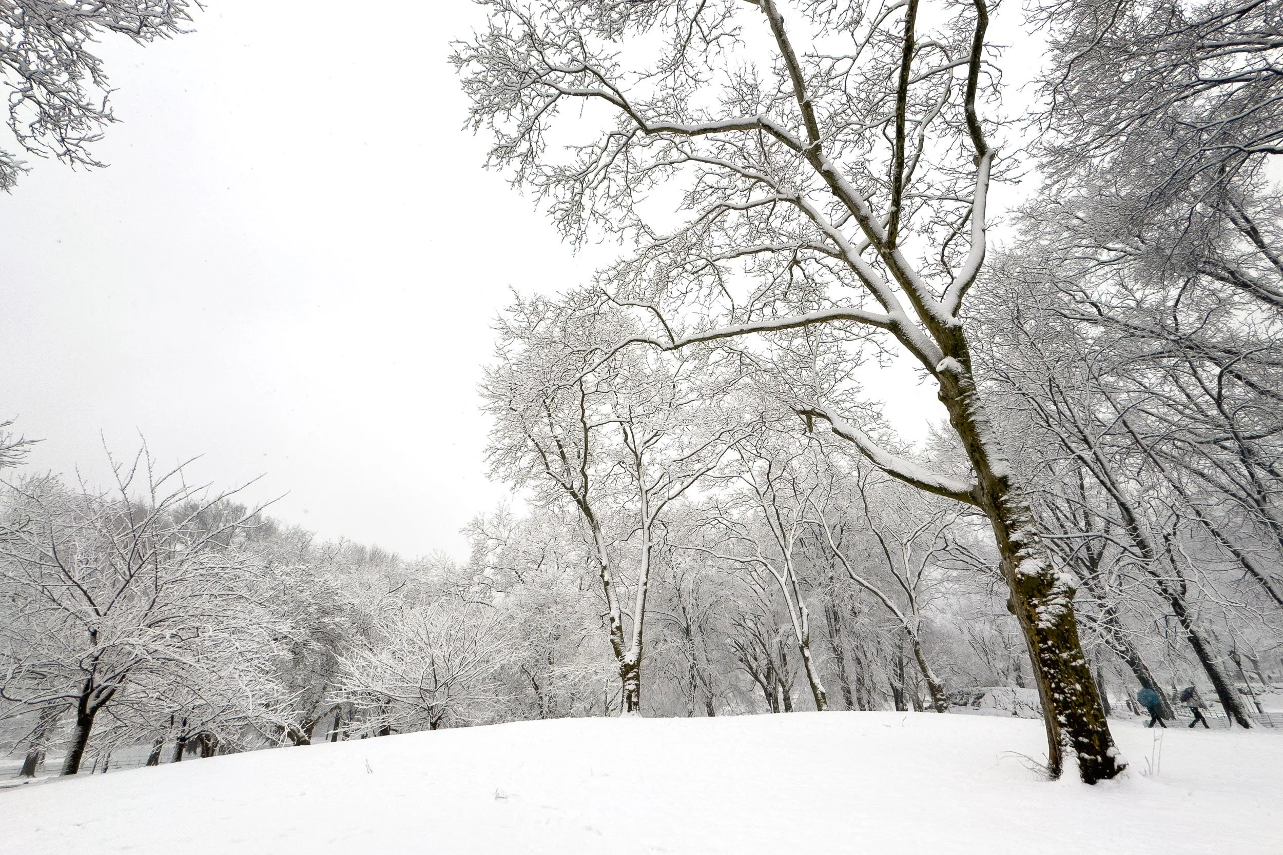 snow-days-nyc-5.jpg