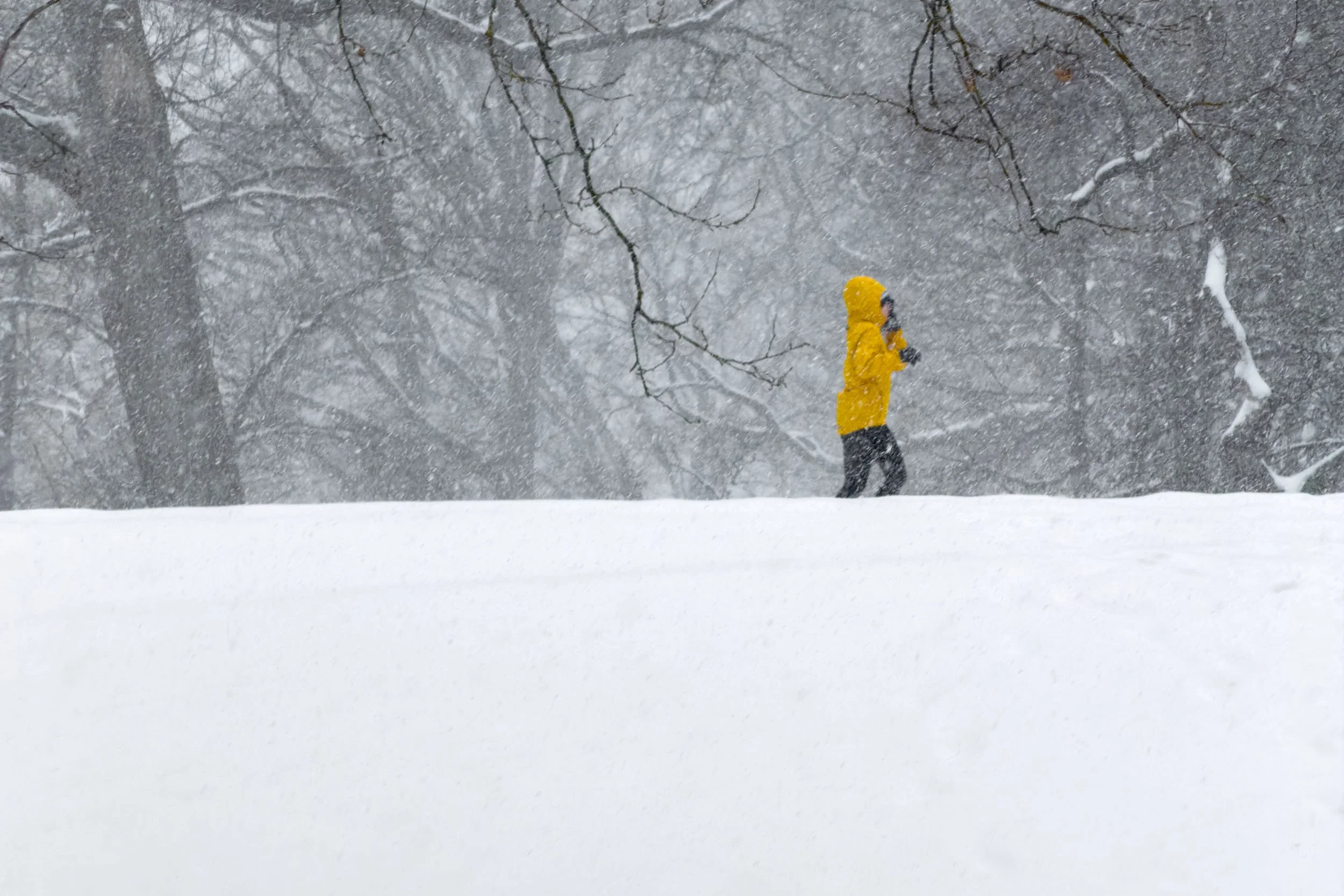 snow-days-nyc-7.jpg
