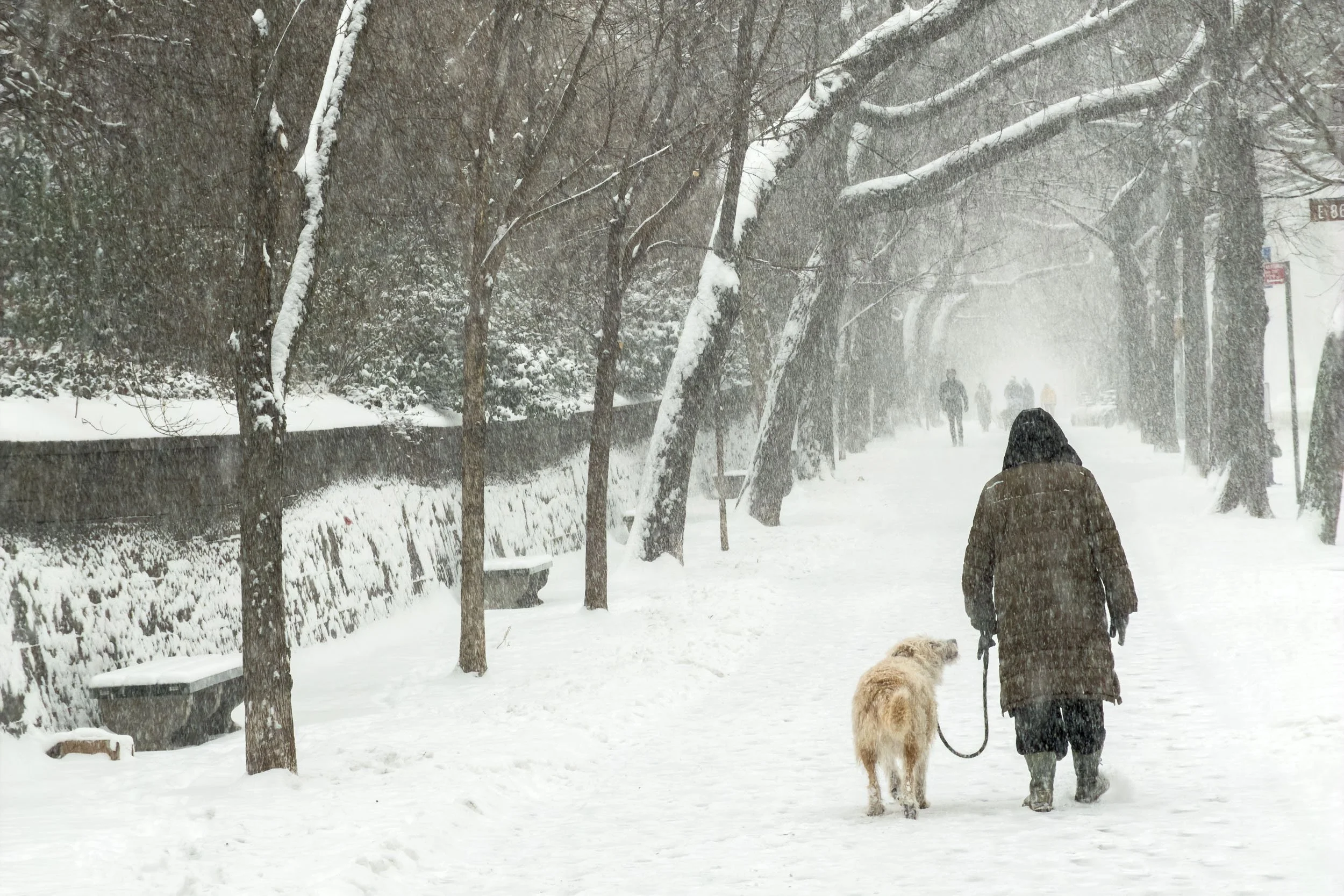 snow-days-nyc-6.jpg