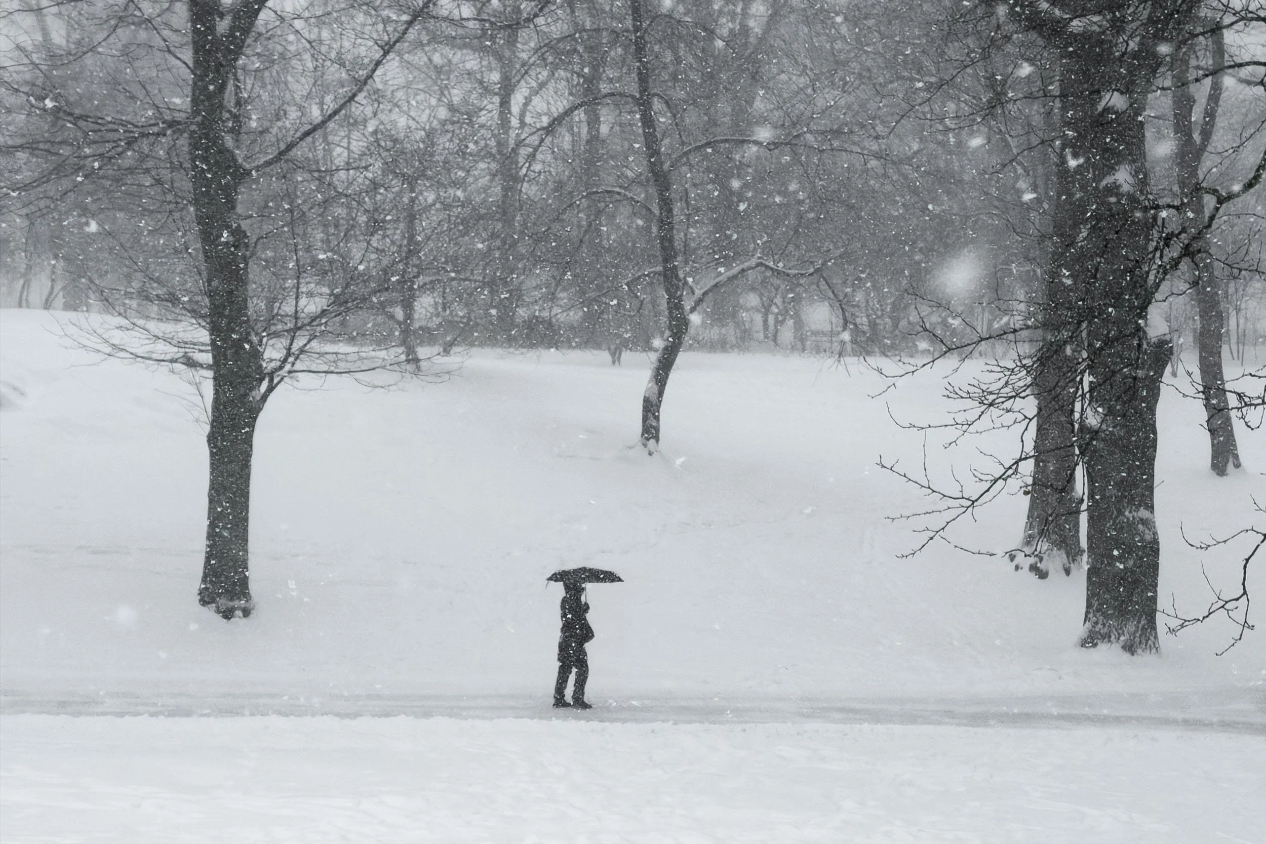 snow-days-nyc-9.jpg
