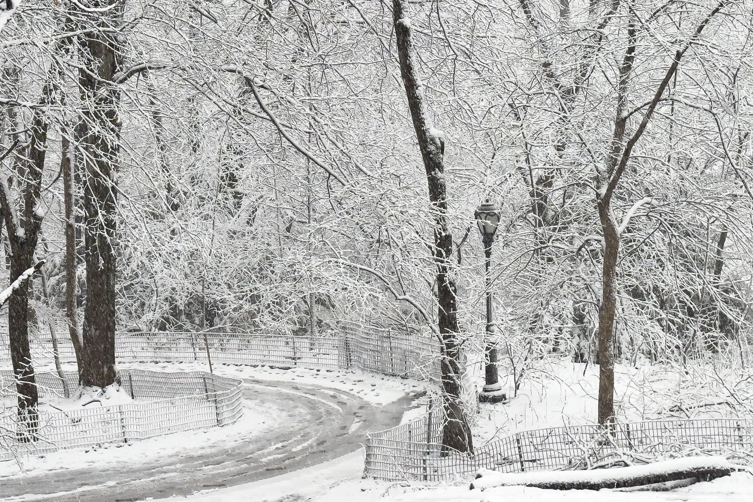 Snowy day in Central Park, NYC