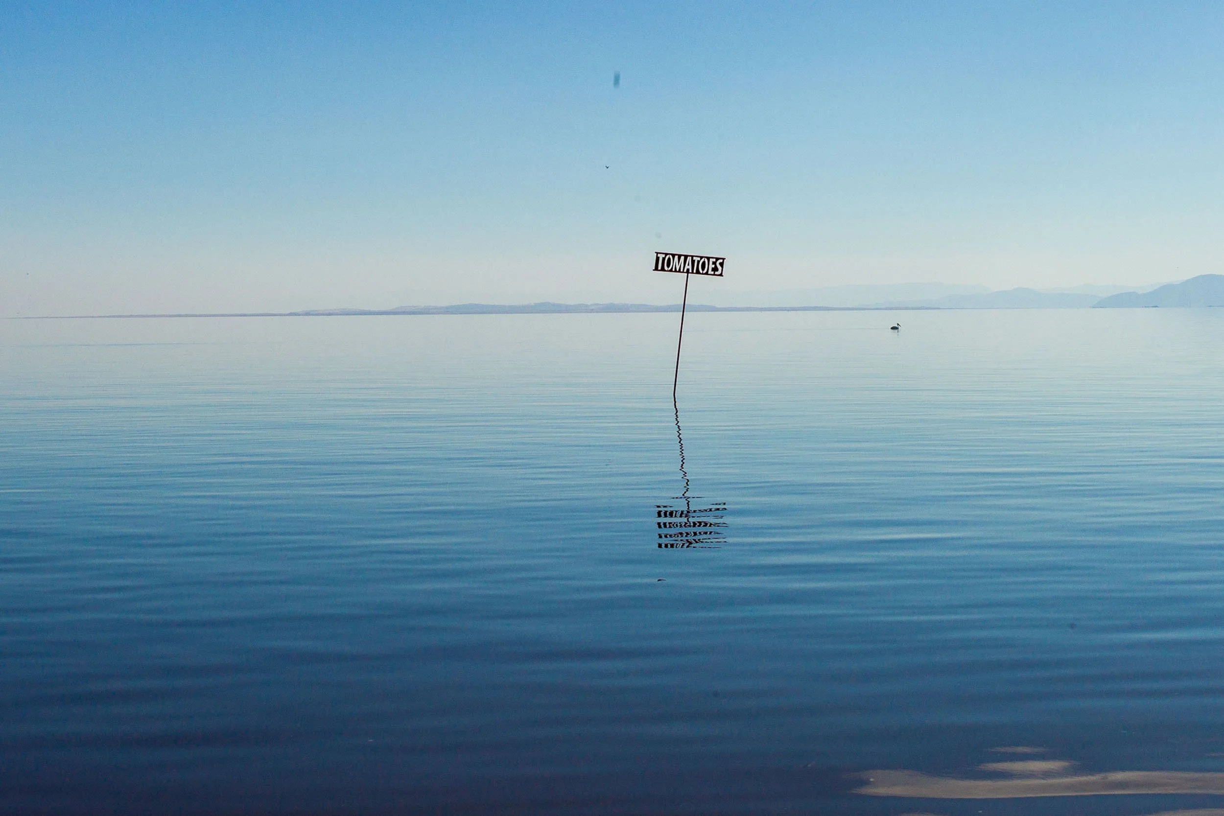 Tomatoes art installation in Salton Sea, fine art print by Joe Quint