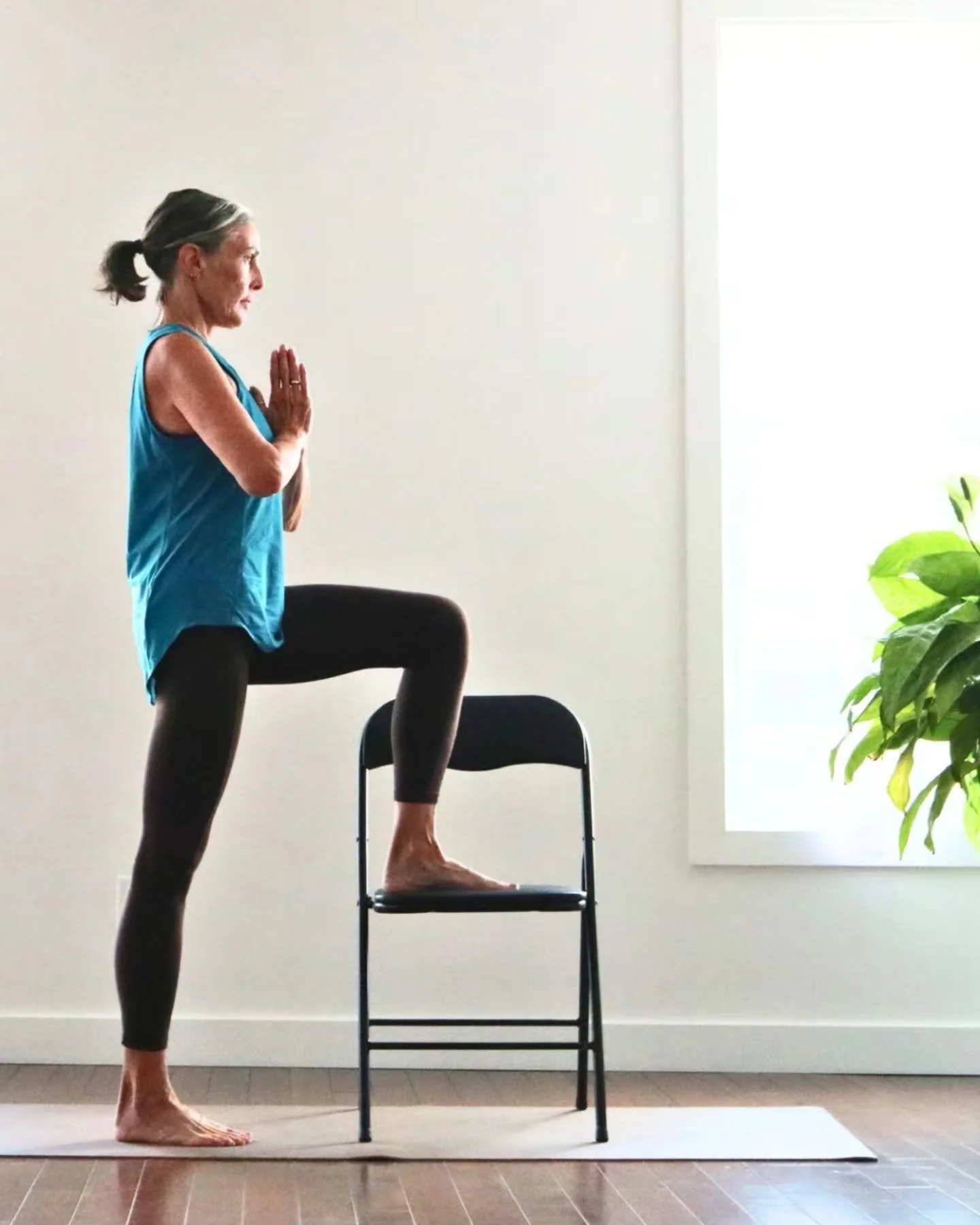 Chair Yoga with Jan 🪑
Fridays February 6-27 10:45-11:30am

This gentle class is designed for anyone seeking the benefits of yoga without the need to get up and down from the floor. Using a chair for support, we&rsquo;ll explore seated and standing p