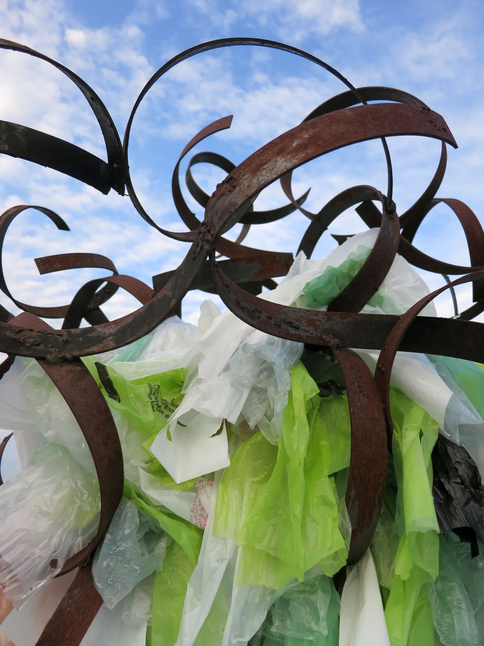 Plastic Planet_Schmidt.jpg