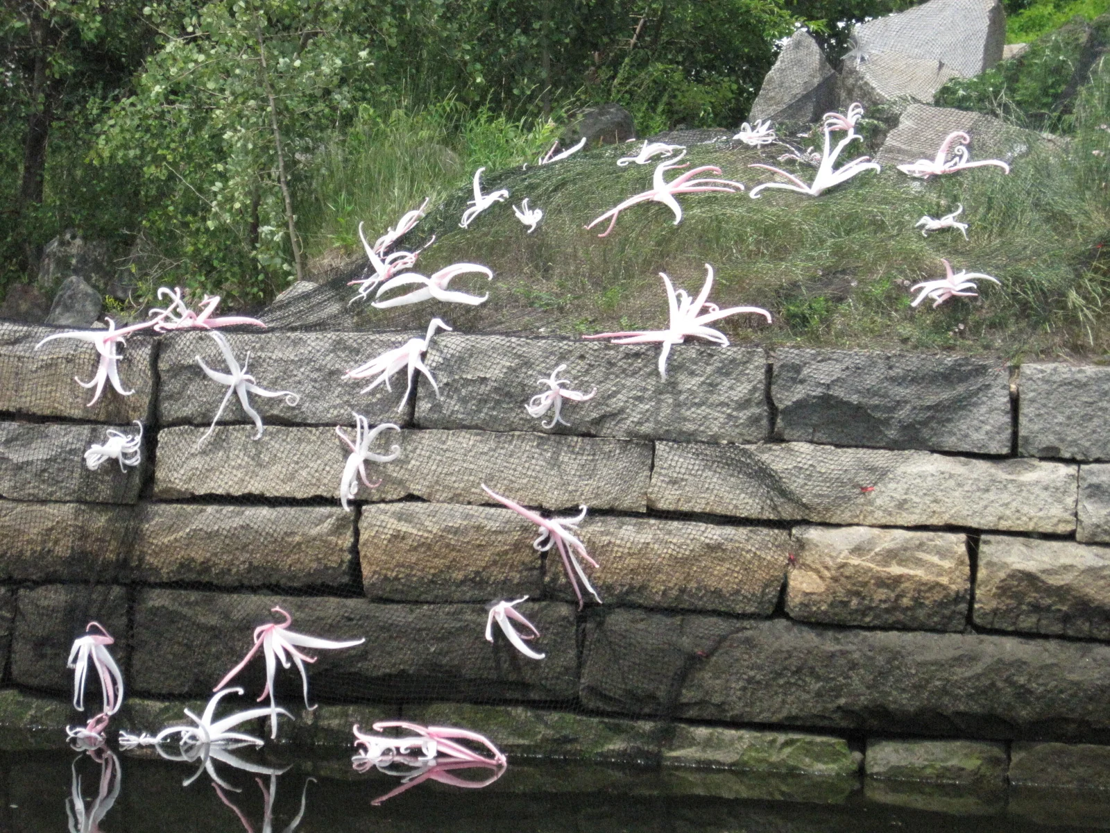 Time Out IMG_4002.JPG