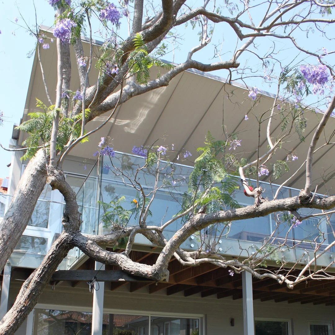 Mosman House 1