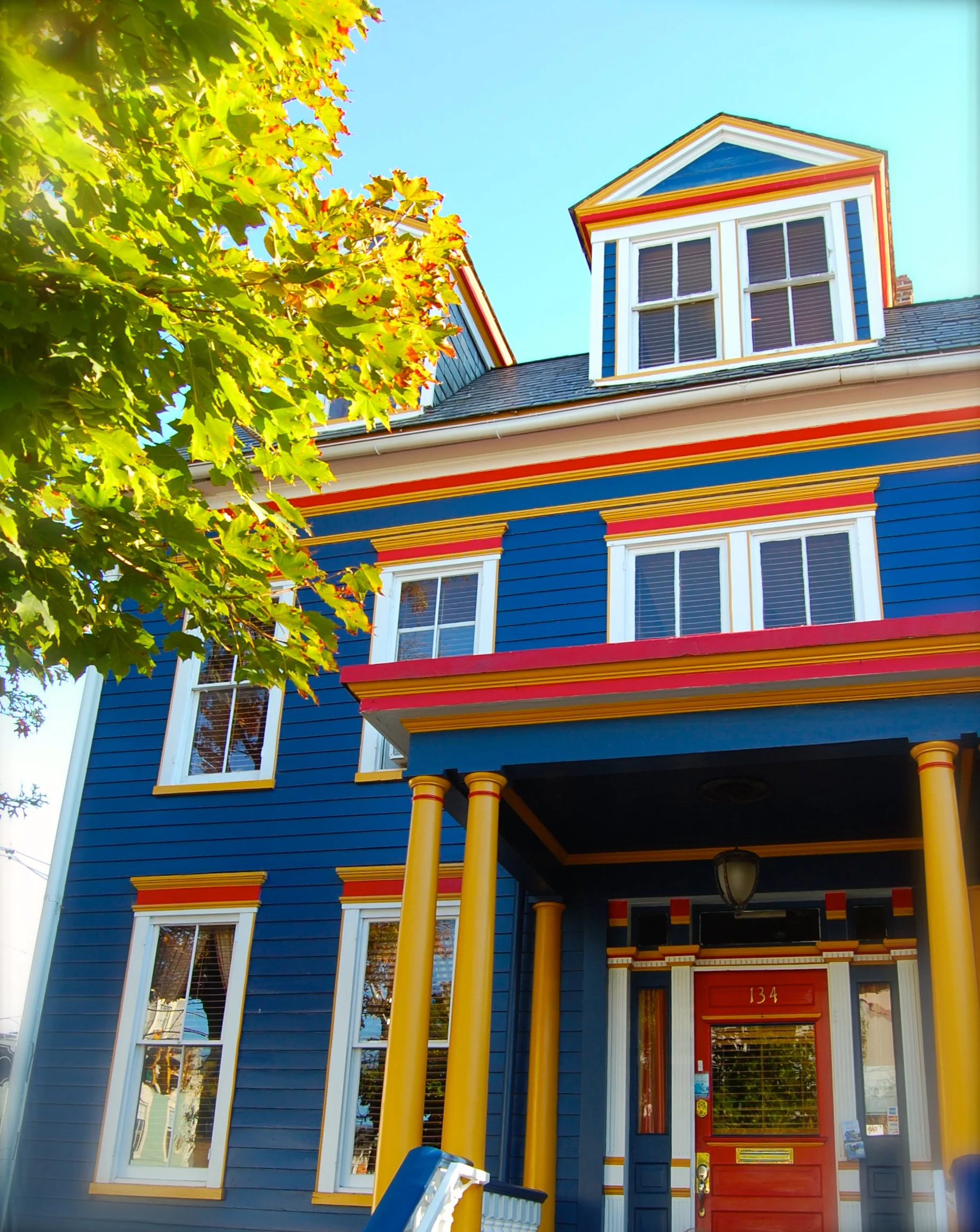 Eyeing Design and The Amateur Advantage 