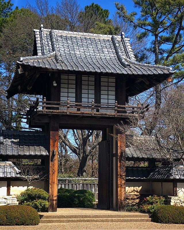 A quick trip to Japan while in Texas. #texas #fortworthbotanicgardens #japanesegarden #gardens #landscapedesign