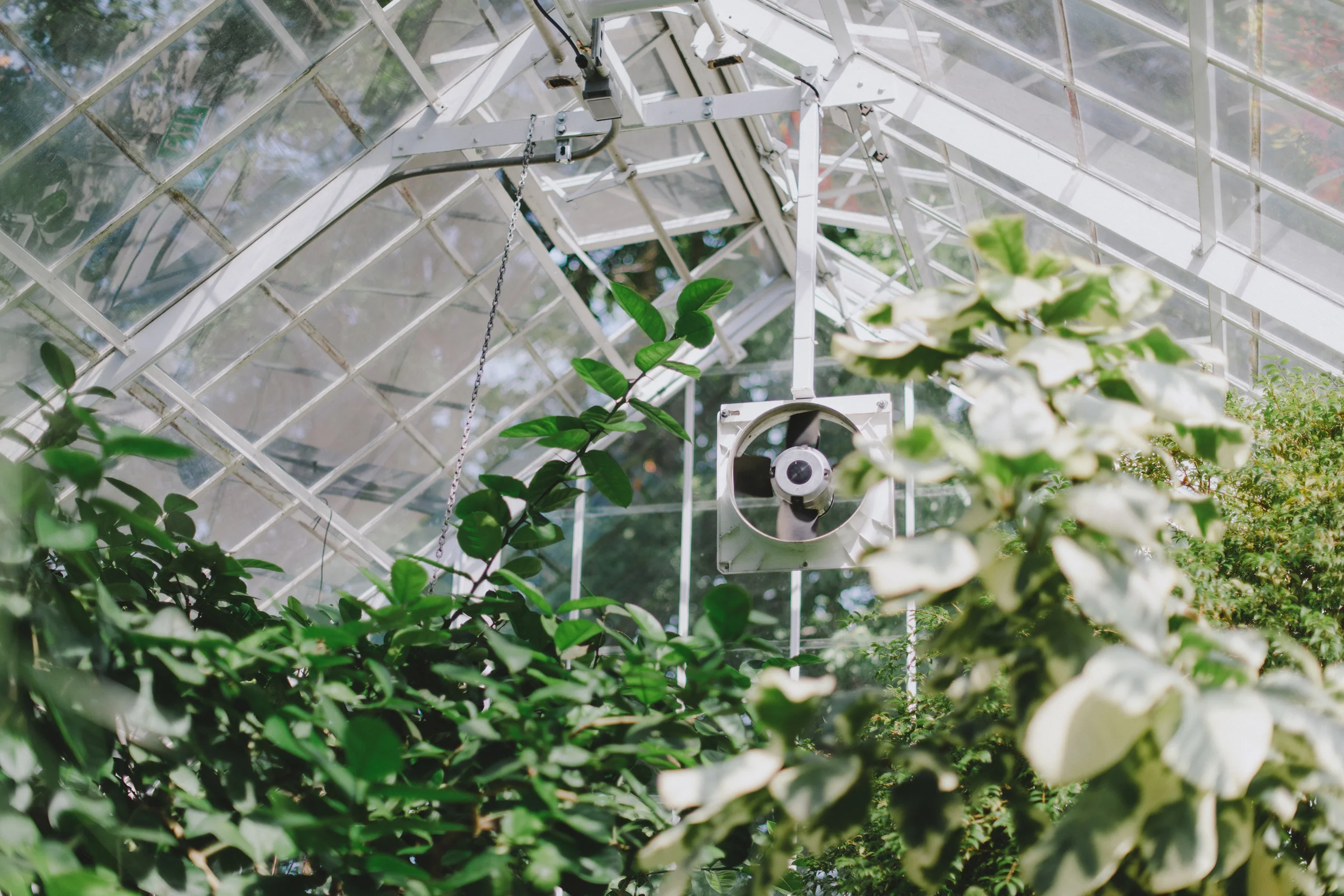 Tacoma Botanical Conservatory 01.jpg
