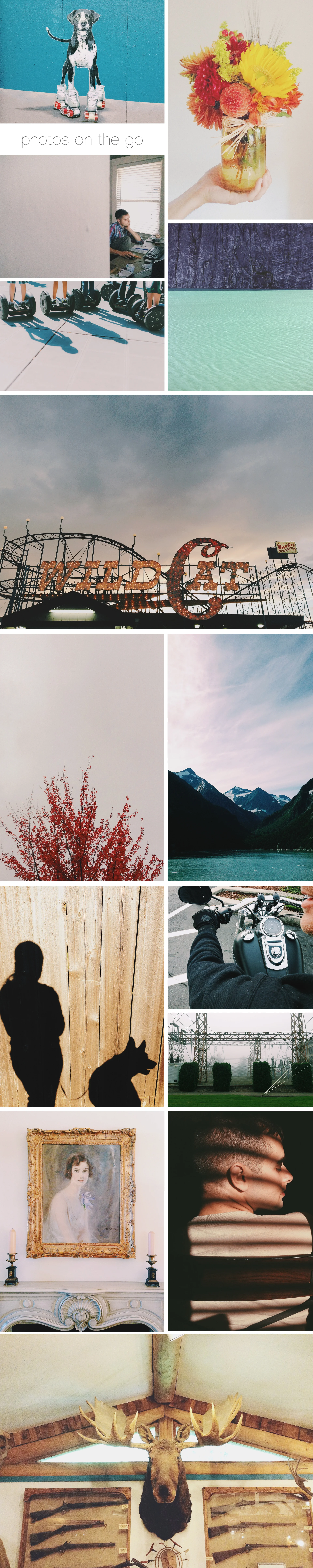 LisaLupo_Collage.jpg