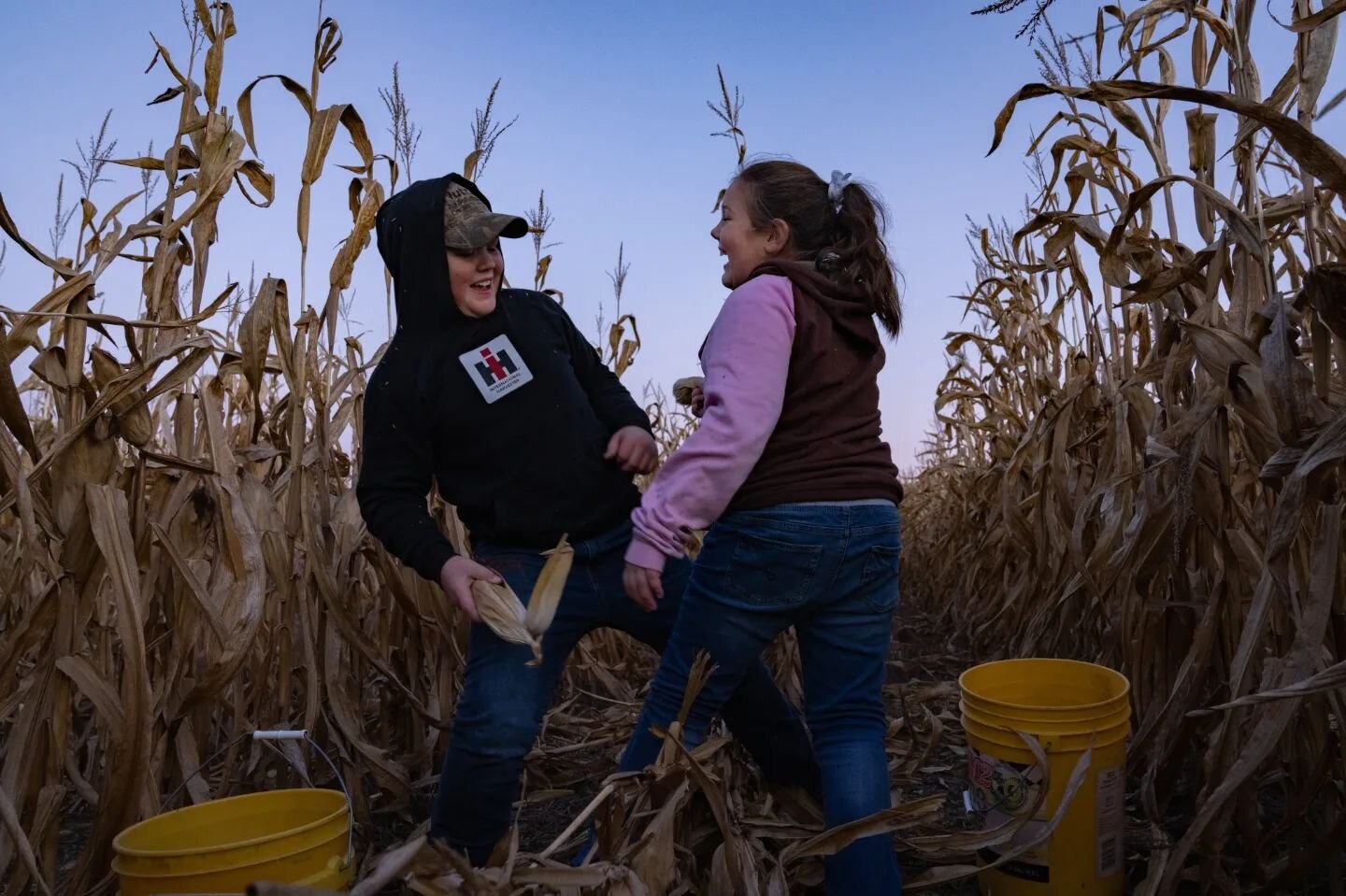 Taking a break from picking deer corn, Luke, 11, and Layna, 9, enjoy a bit of old fashioned fun between a day of school and an evening of hard work on the farm. A little over excitement provides the oldest sibling, Laurel, 22,  an opportunity to teac