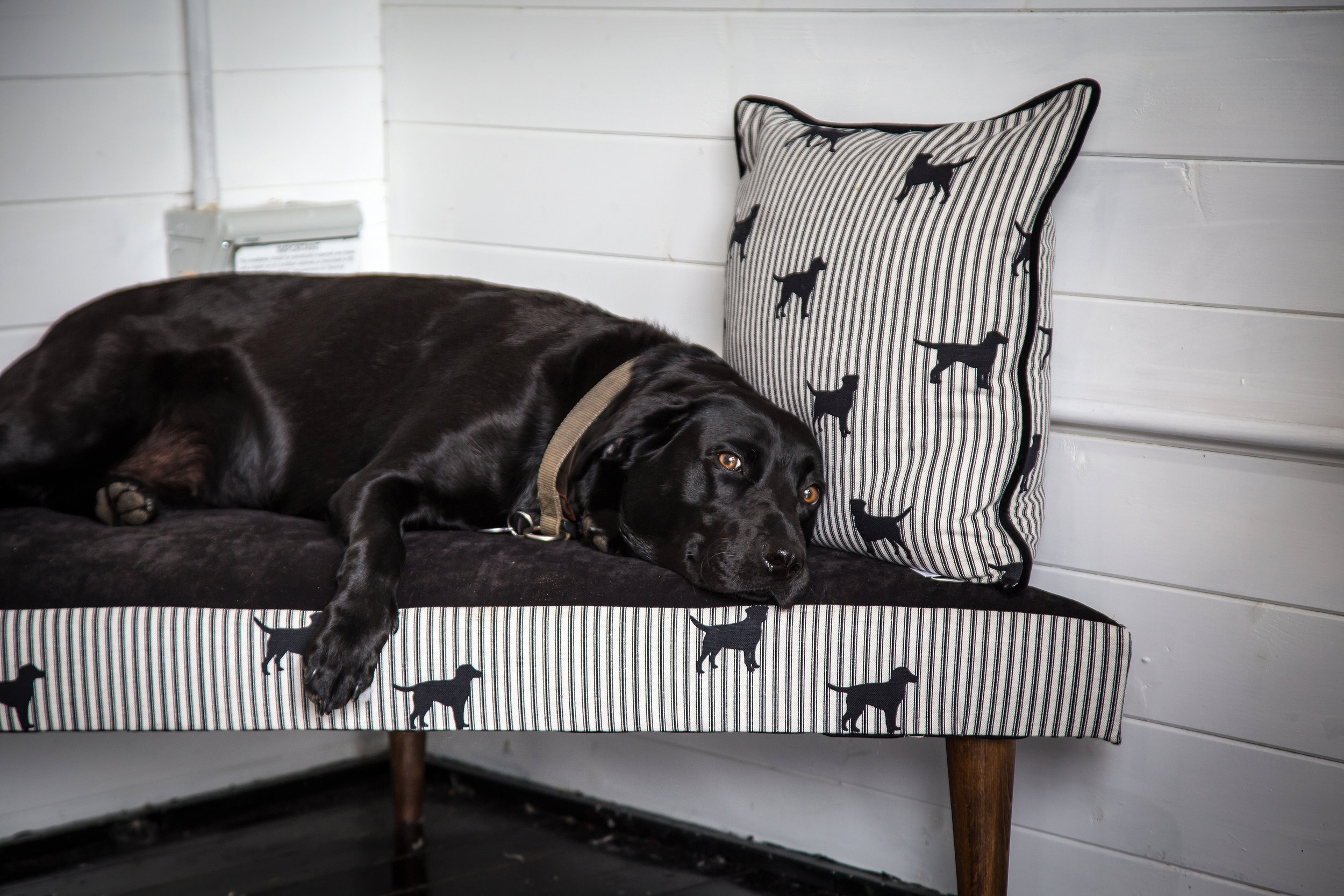 BC_Sept16_39 (4).jpg