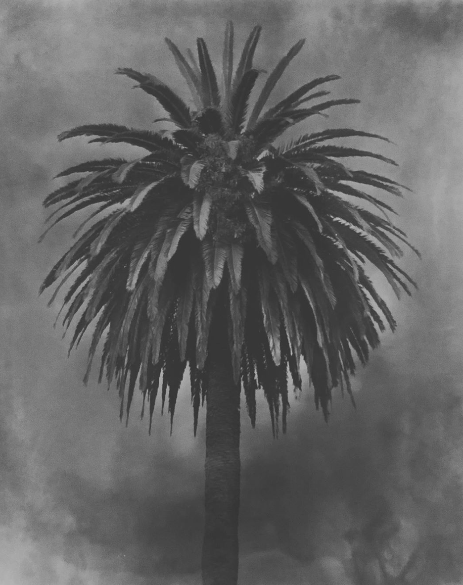 Screen Shot 2019-09-28 at 9.43.34 AM.png