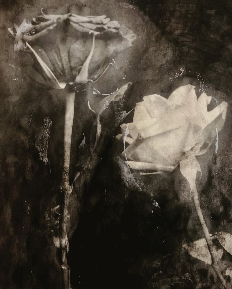 Screen Shot 2019-09-28 at 9.44.23 AM.png