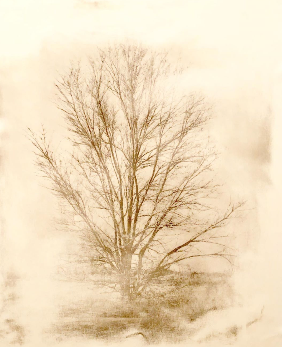 Screen Shot 2019-09-28 at 9.57.59 AM.png