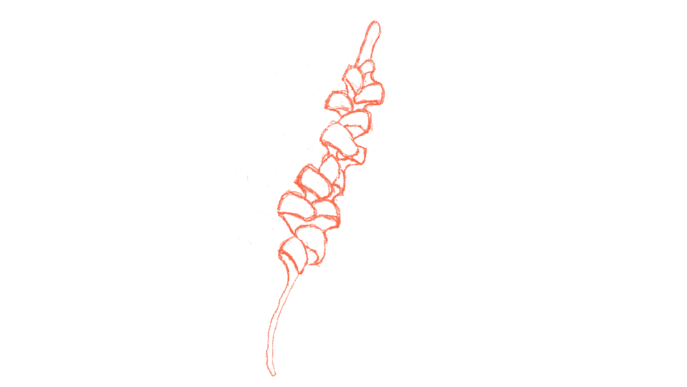 ello-optimized-4d3f2f1d.gif