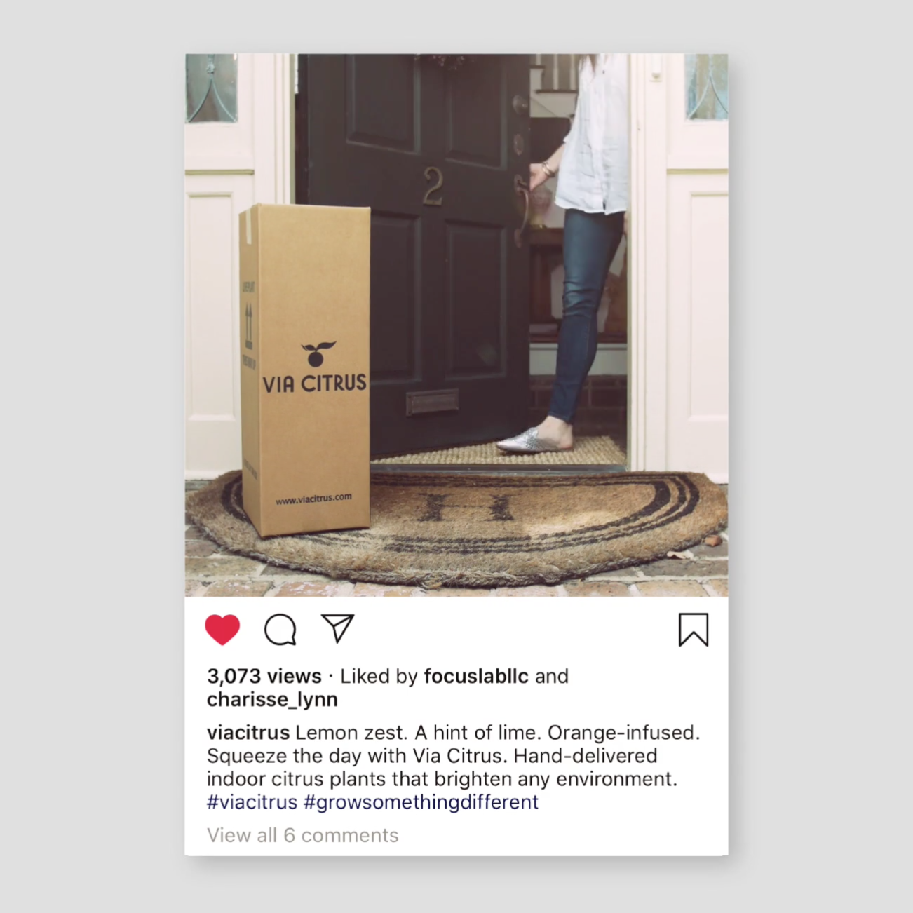 Screen Shot 2019-03-06 at 7.52.15 AM.png