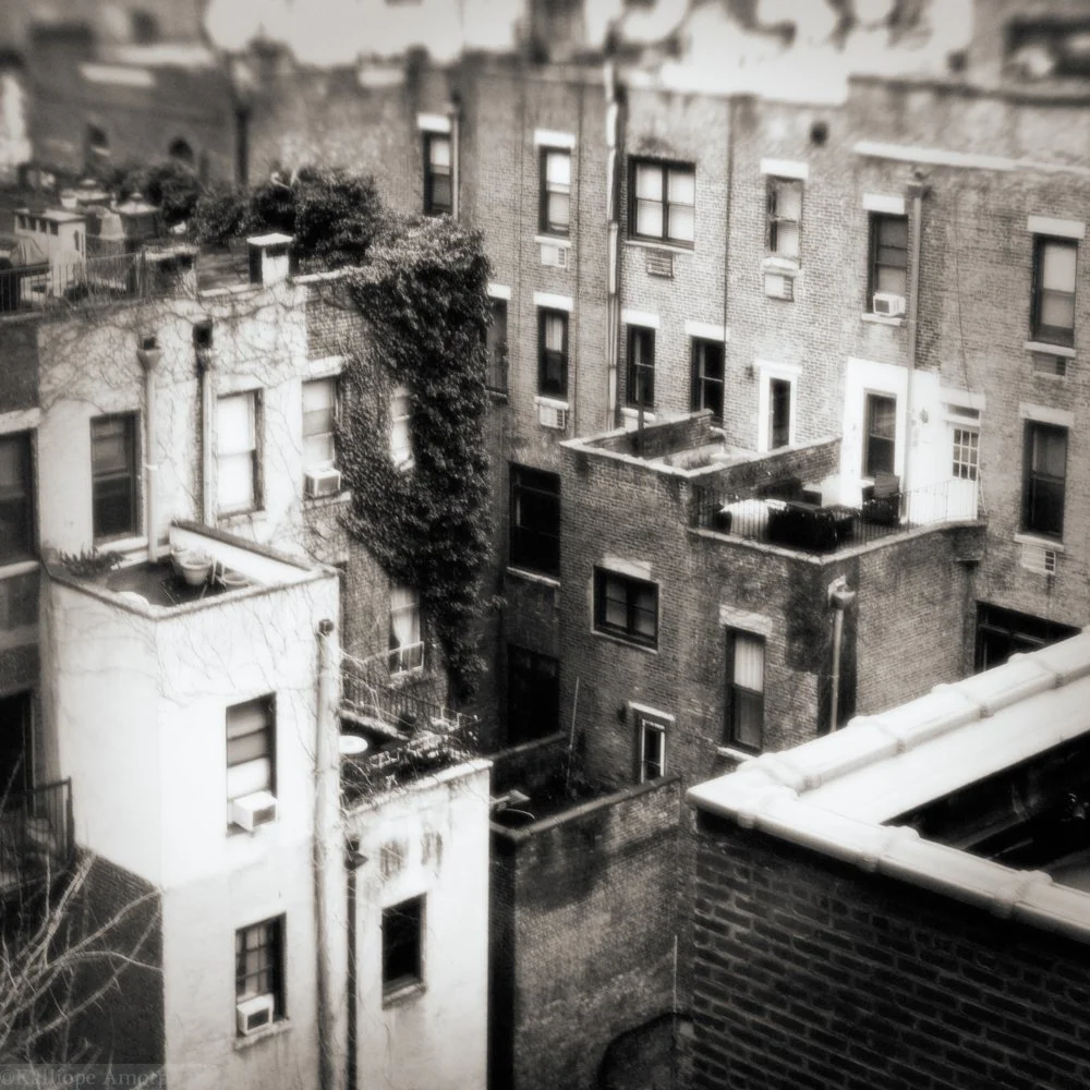 nyc-landscapes63.jpg