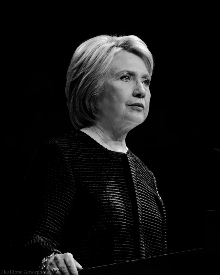 Hillary Clinton Portrait 9