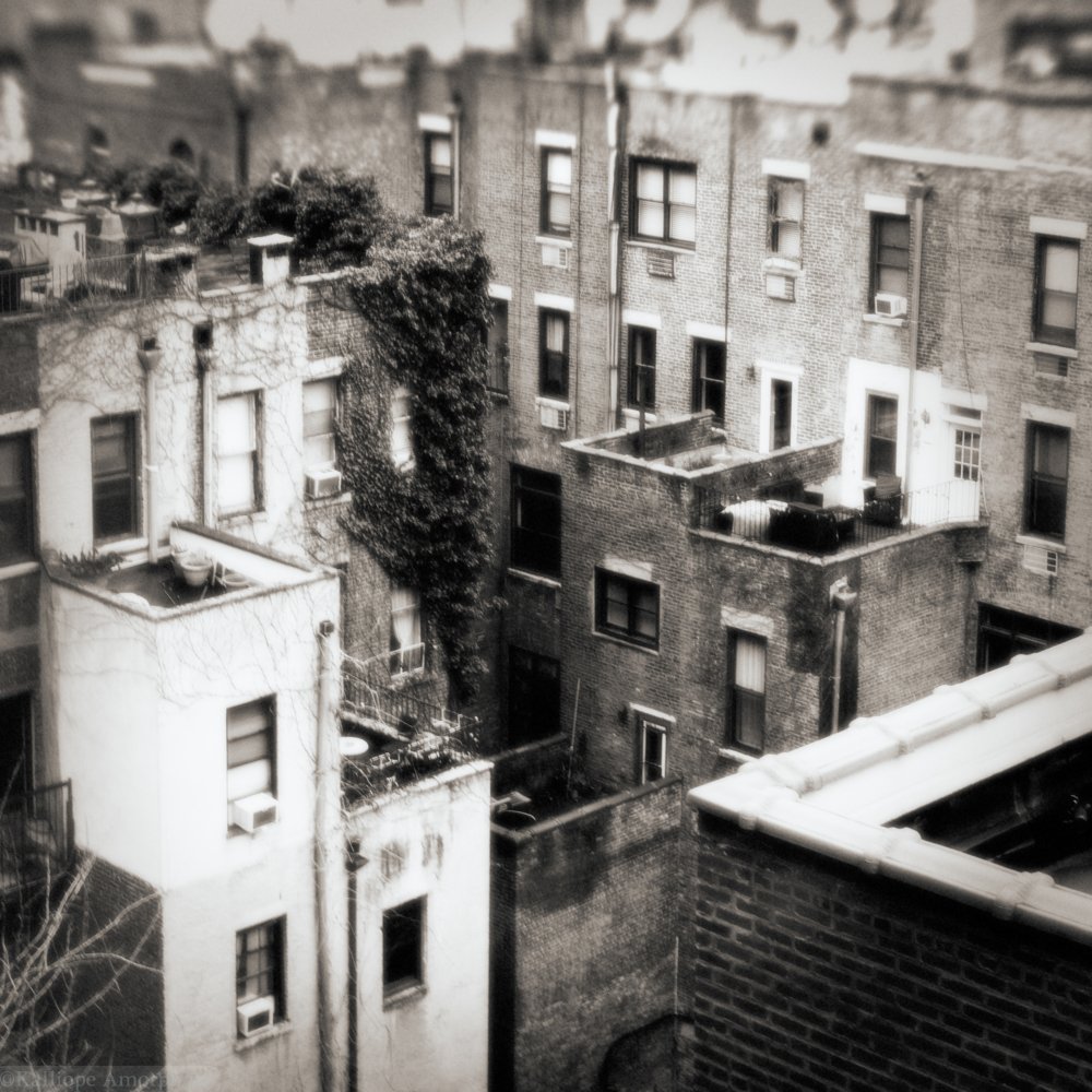 nyc-landscapes63.jpg