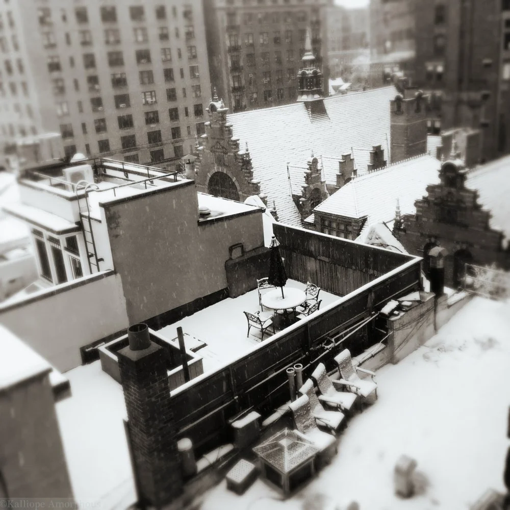 nyc-landscapes33.jpg