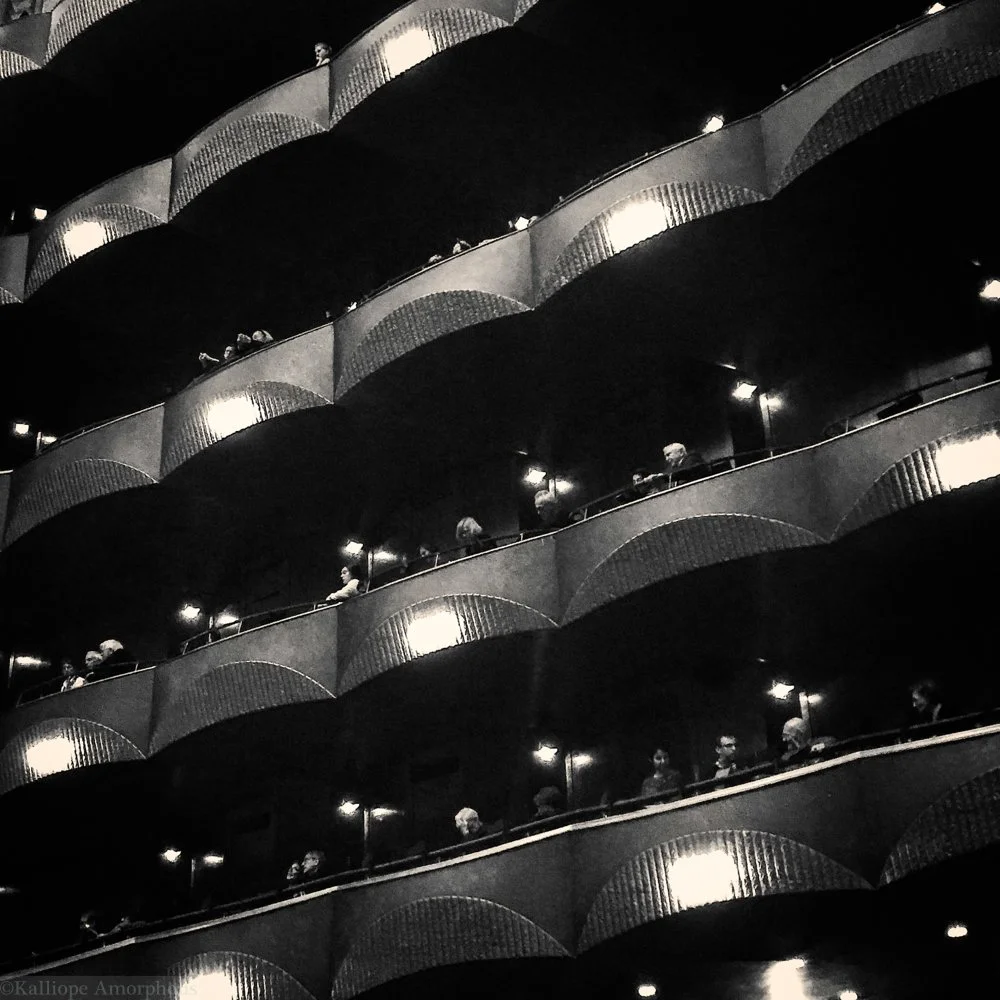 nyc-landscapes28.jpg