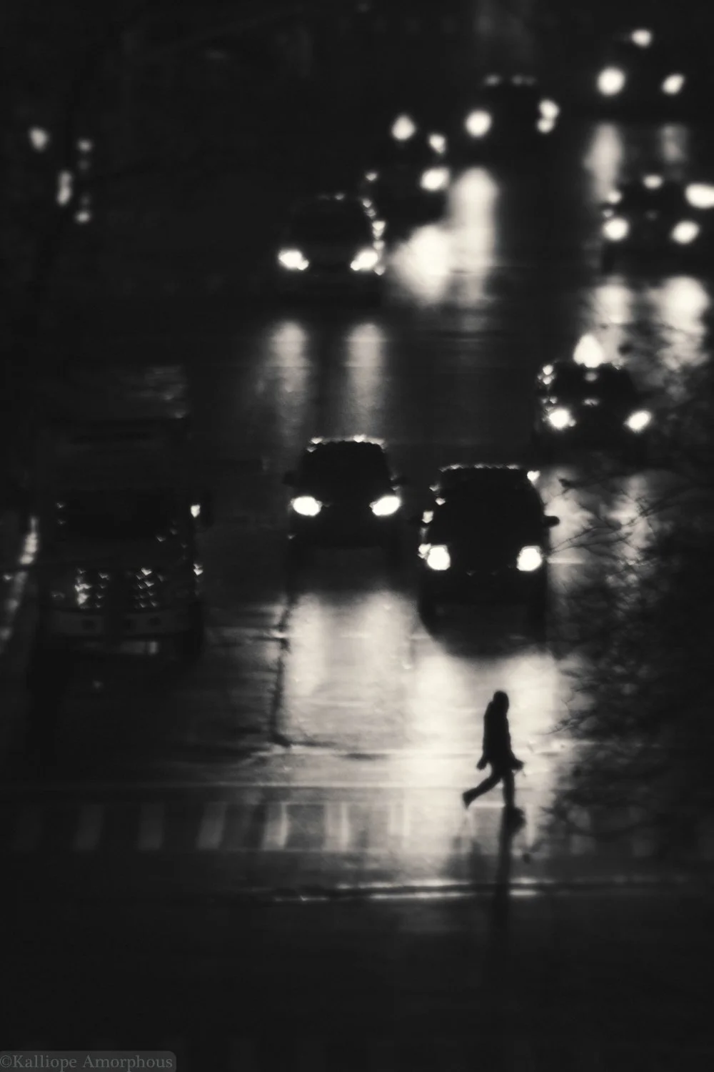 nyc-landscapes66.jpg