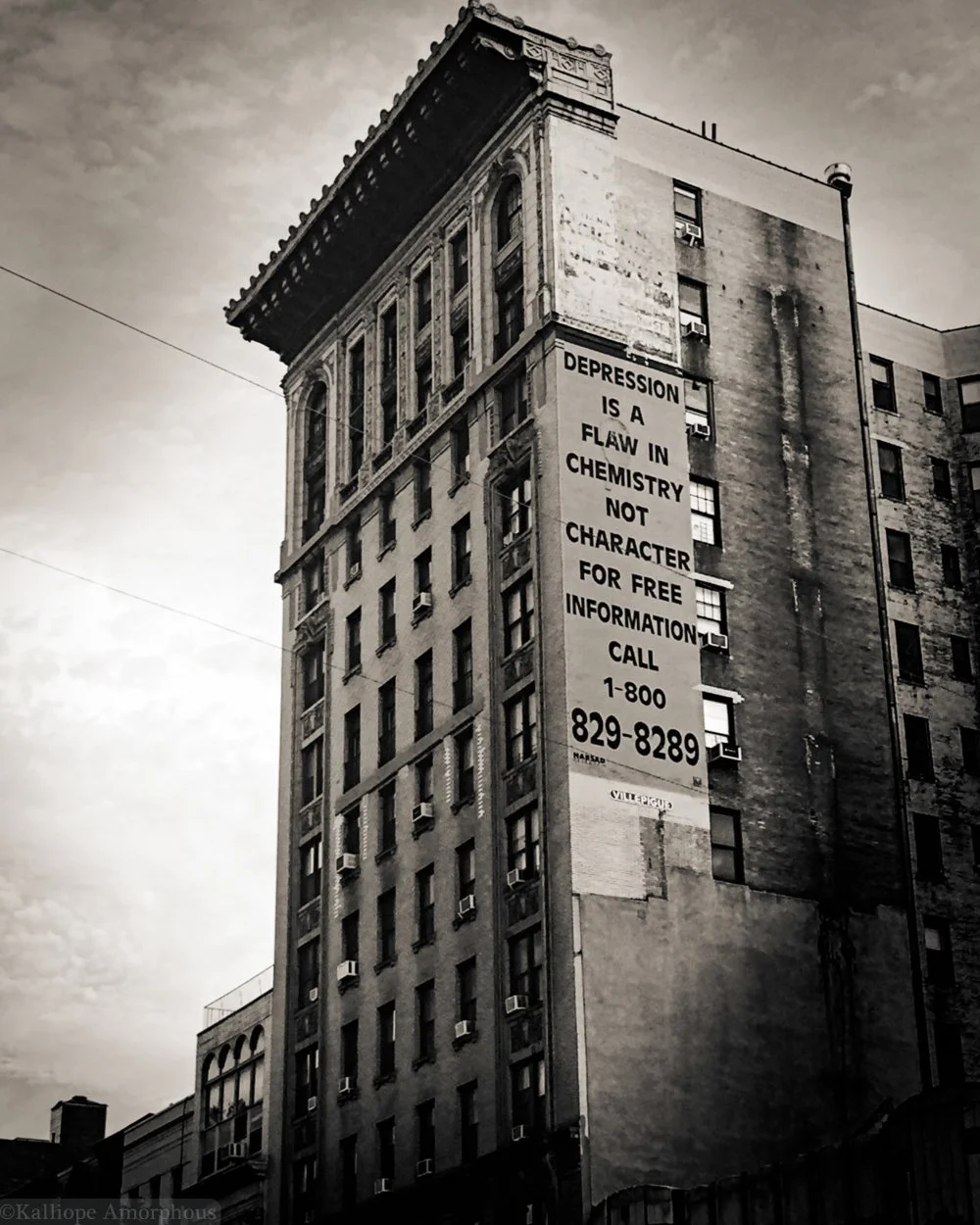 nyc-landscapes37.jpg