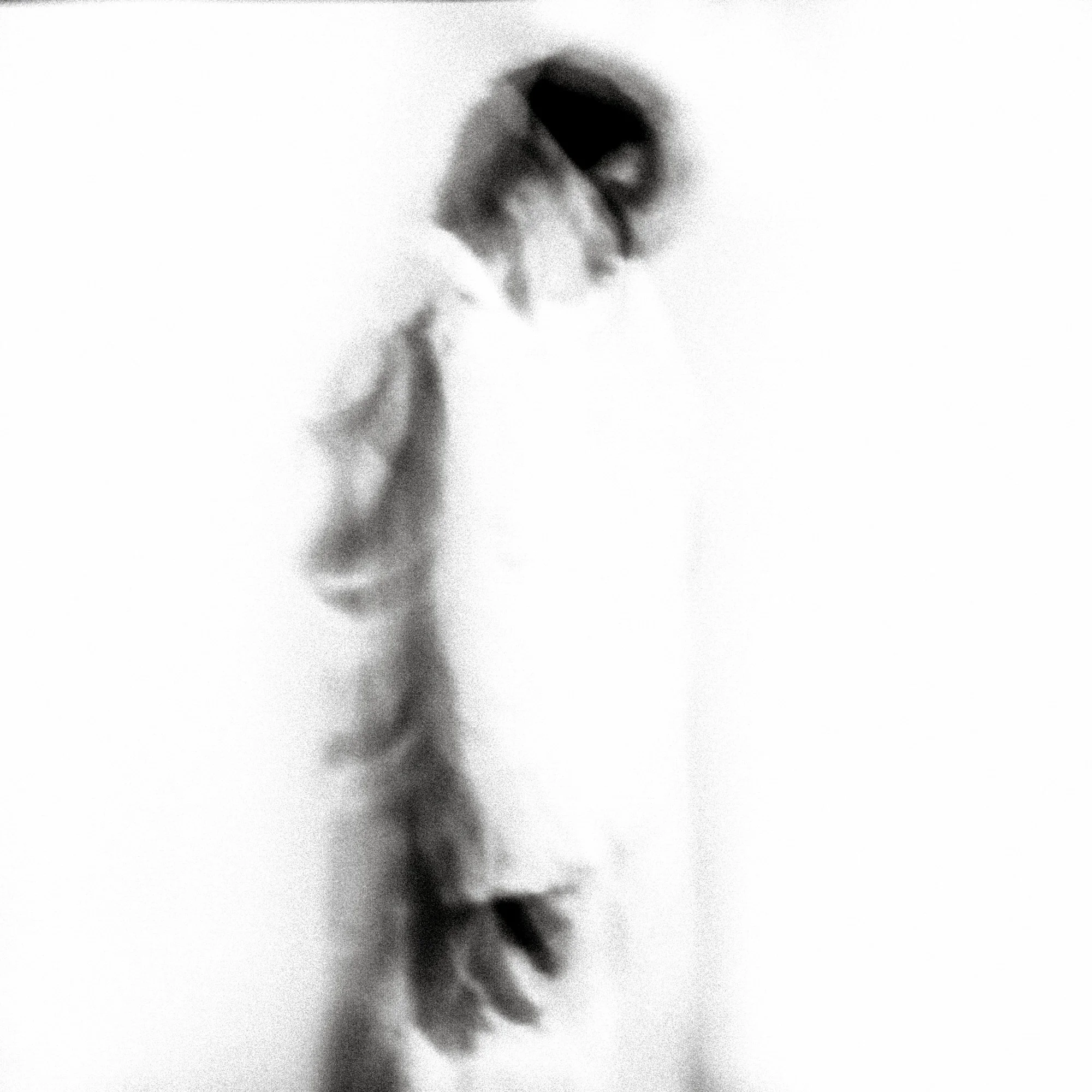 Marina Abramović Portrait VII