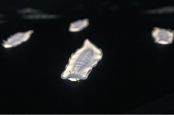 “Models, Mobile Bioremediation Unit, From Designing for the Sixth Extinction.” by Alexandra Daisy Ginsberg