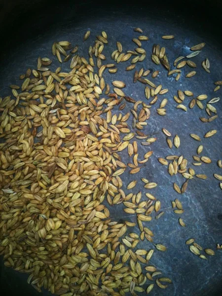 Toasted fennel seed bound for a flavor I'm working on with Cherries, orange, salt, and Italian Mead Vinegar.