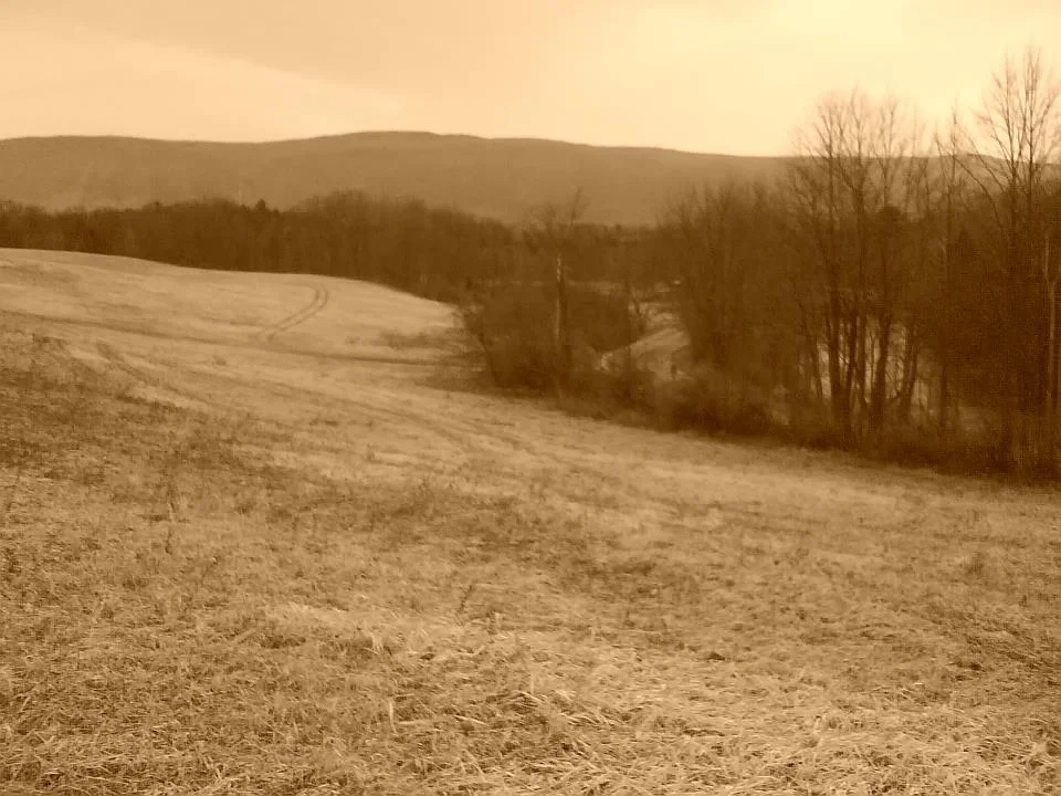 Been thinking a lot about how to lay this all out. This is the 30+ acre hayfield on my parent's farm in Vermont. My parents called it Riverside Farm. We raised Angus Beef and had a commercial vegetable operation. Growing the earliest spring spinach was the family specialty. Here you see the New Haven River, the River Road and that spot where the lightpole pops out of the trees marks the driveway connecting the town road to hayfield. My father passed away exactly two years ago so I've changed to calling it my mother's farm . This hayfield is the largest swath of open land on the 150 acre farm. A couple weeks ago, a neighbor farmer plowed in a cover crop of non-gmo soybeans . Come next spring, this land is ripe for anything. Over here in Seattle, I think about this hayland a lot. You see that hedgerow that snakes up to us on the right? One day a road will follow the treeline, leading you up to a south facing lot. You can see the view from this lot on the bottom of my About page. From there you look out over the rest of the farm and the stream that runs along its valley floor. This is the planned location for a hall that will one day house an agri-cultural hub. More on that later. Back to the hayland. The hayland must be the heart of the farm if it's there that my imagination always travels to as I ride my bike around Seattle, pulling pans out of the oven at the restaurant in Fremont, making jam in my SODO kitchen, and saving moving money until the apartment lease comes up in May of 2015. I keep saying silly things, like yesterday when I told Amy, I'm not wearing shorts again until we live in Vermont. But the move is a long ways off, 8 months, and for the most part I live like I'm never leaving Seattle. In the meantime, I'll be sharing some stories that emanate from the hayland, hover on my childhood hate of eggs cooked every way, and tousle some family heirlooms. First up: Pizza! Stay tuned.