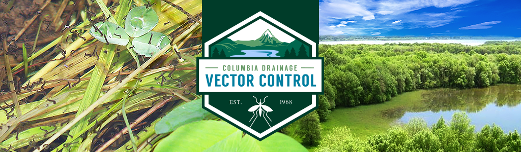 17-018_CDVC_LogoDesign_Banner_1024x300.png