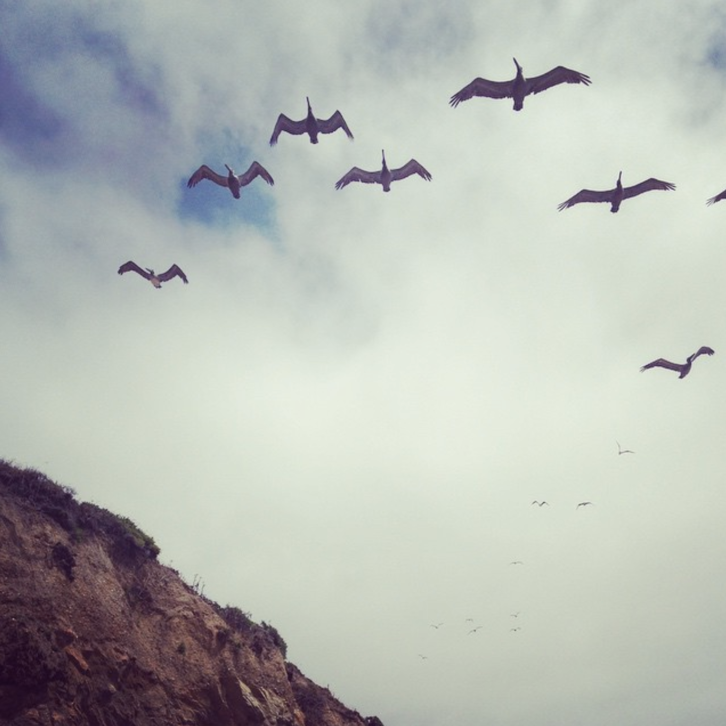 Screen Shot 2019-10-24 at 9.01.43 PM.png