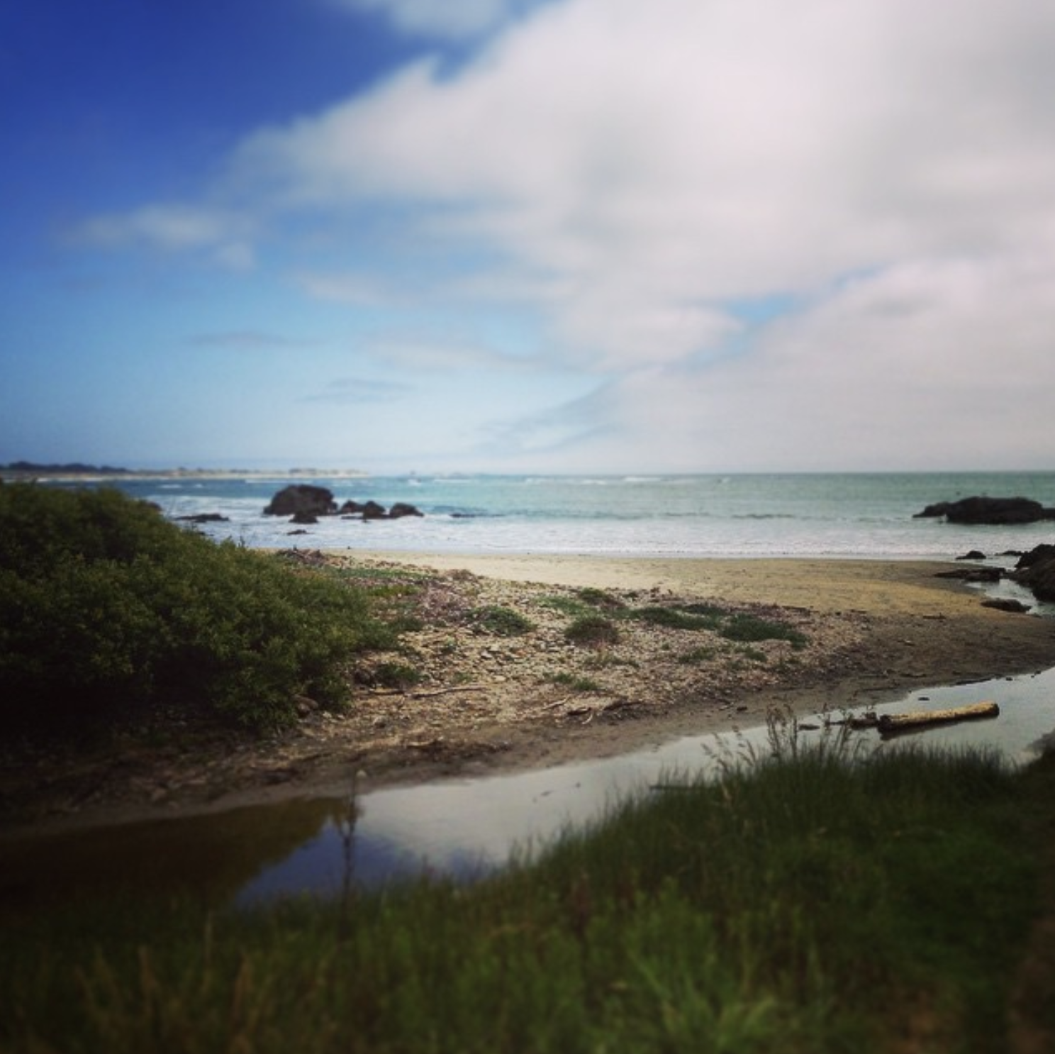 Screen Shot 2019-10-24 at 9.02.01 PM.png